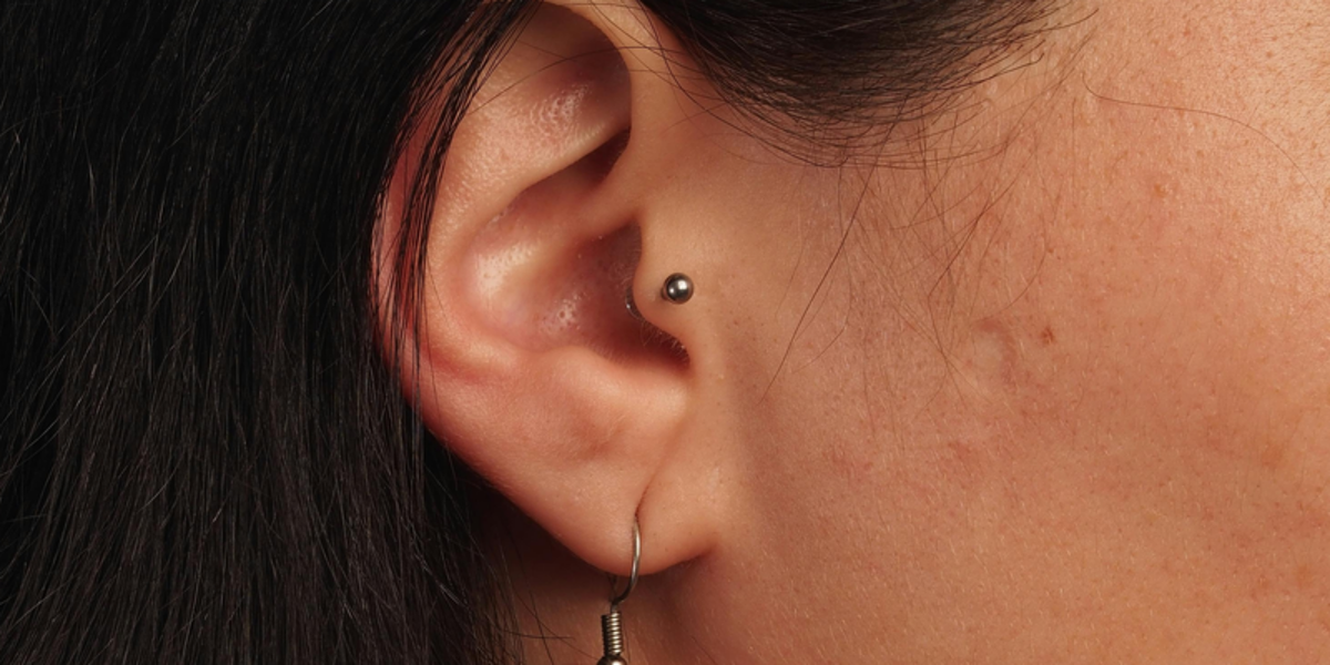 Tragus piercing jewellery - titanium ball stud in a tragus piercing
