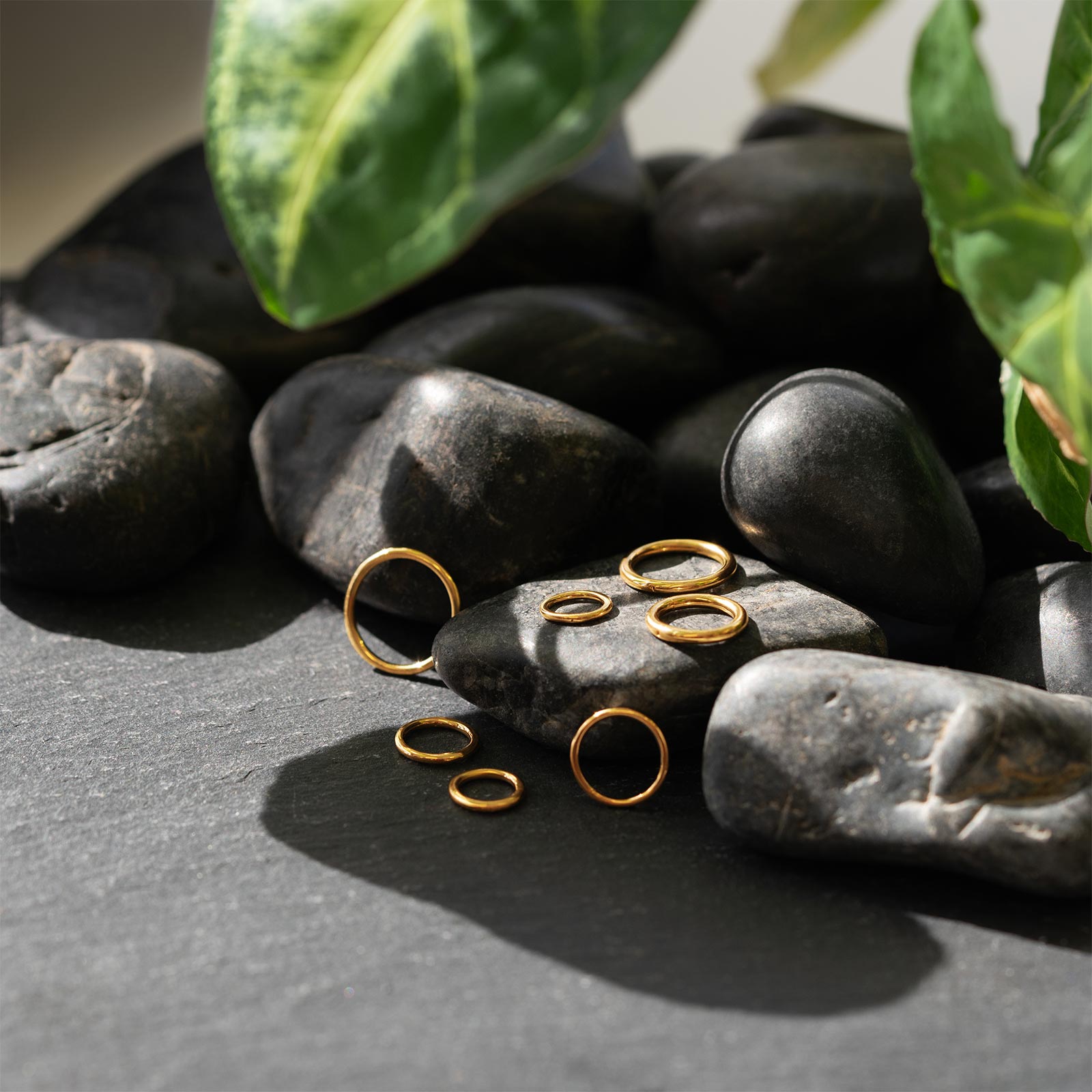 gold hinged segment rings