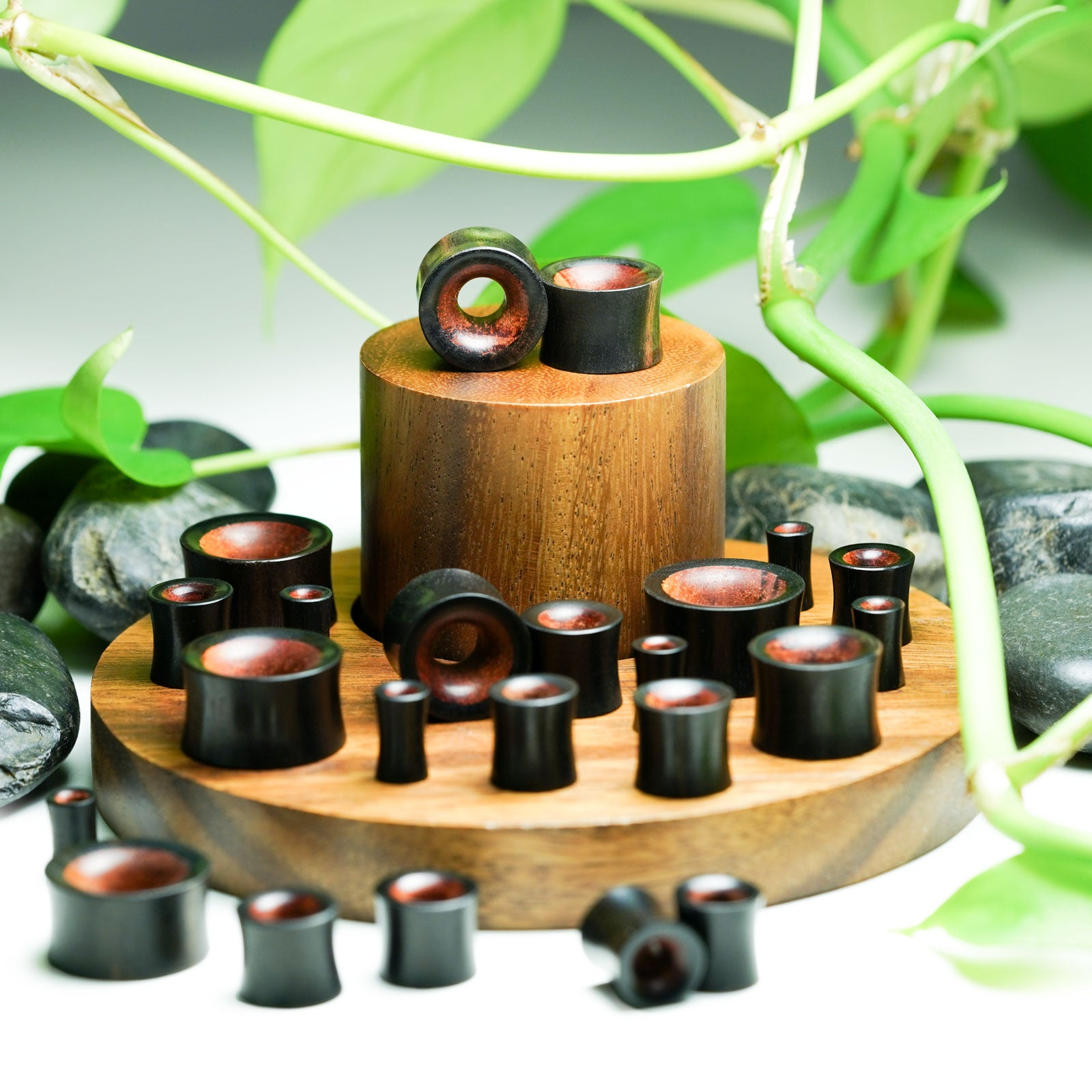 wood tunnels for gauges