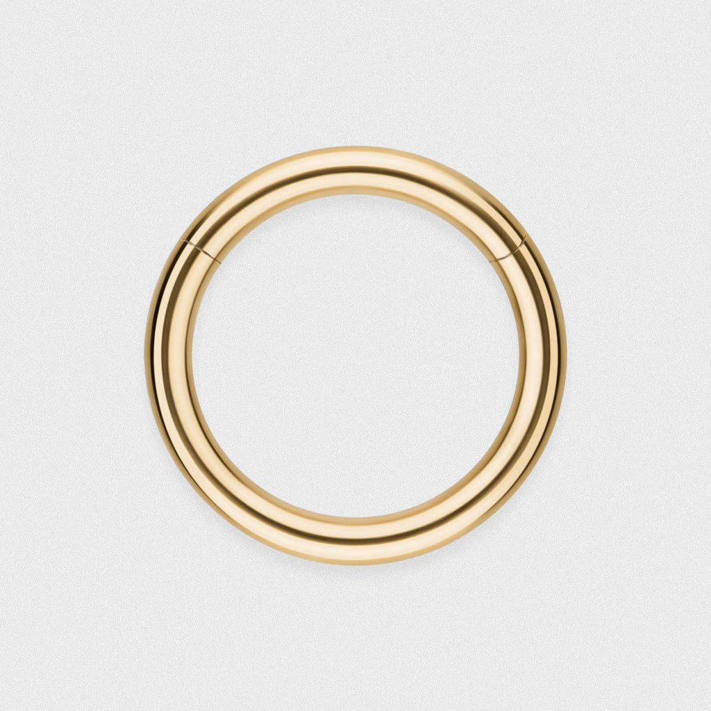 14k Gold Hinged Segment Ring