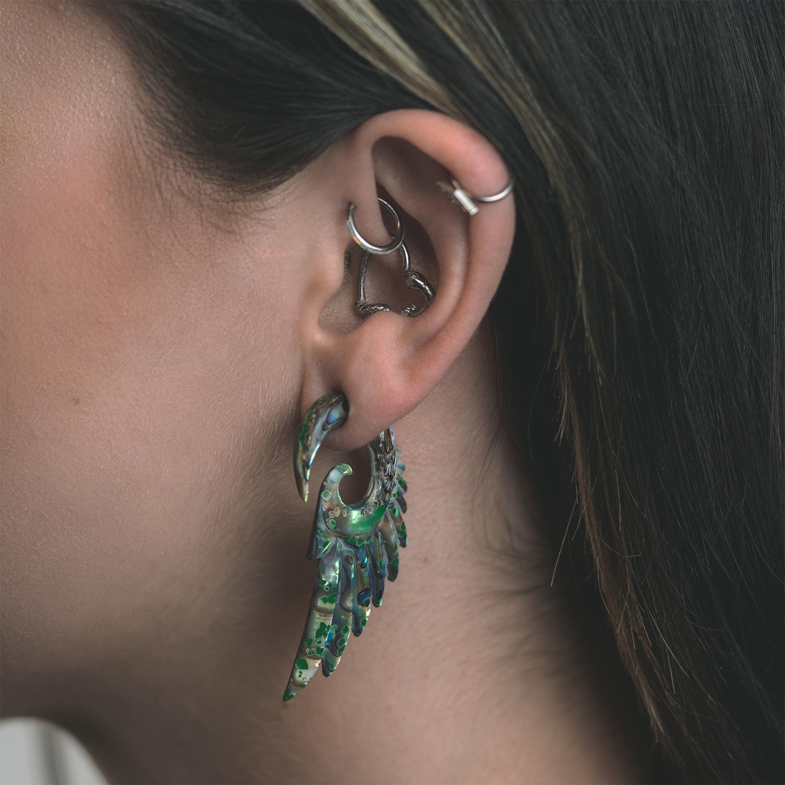 Abalone Shell Angel Wing Model Shot