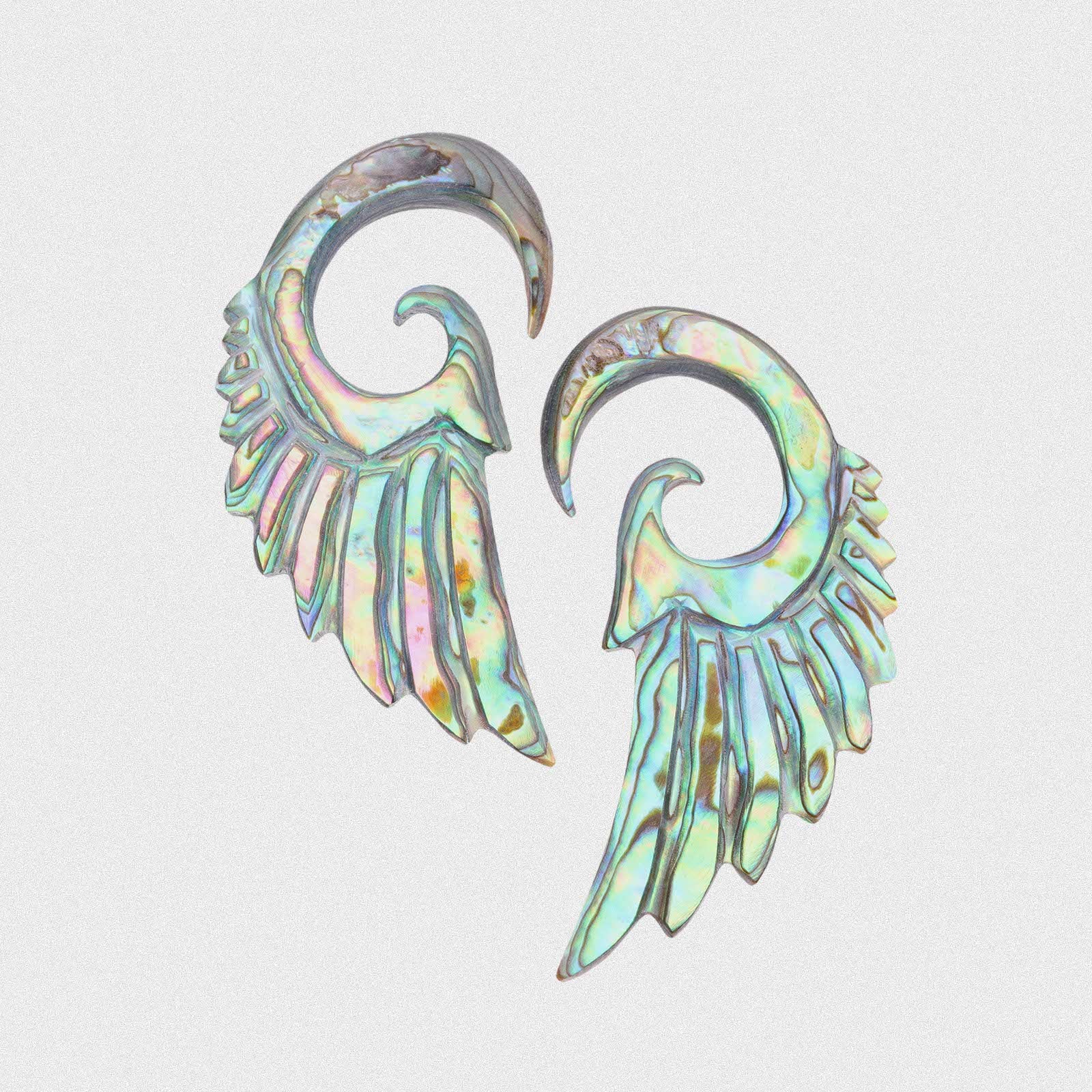 Abalone Shell Angel Wing