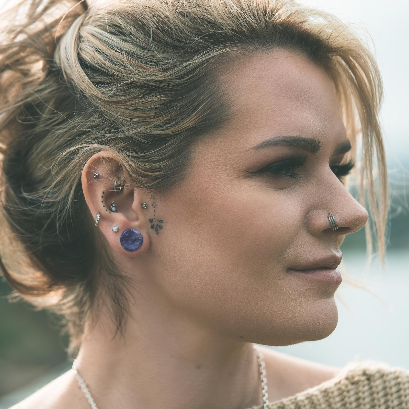 Amethyst Double Flare Concave Stone Plug Model Shot