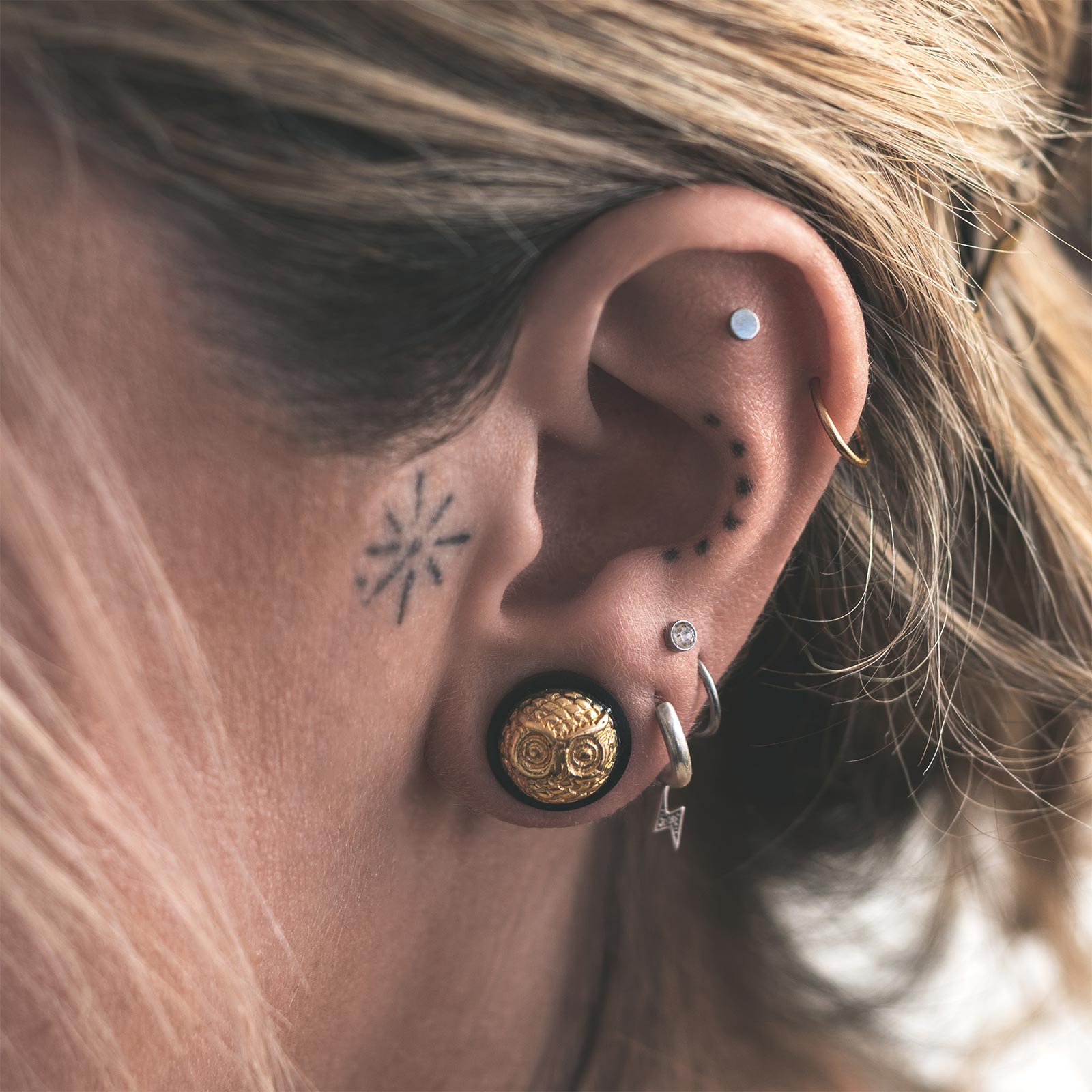 Areng Wood Double Flare Plug With Brass Owl Inlay Model Shot