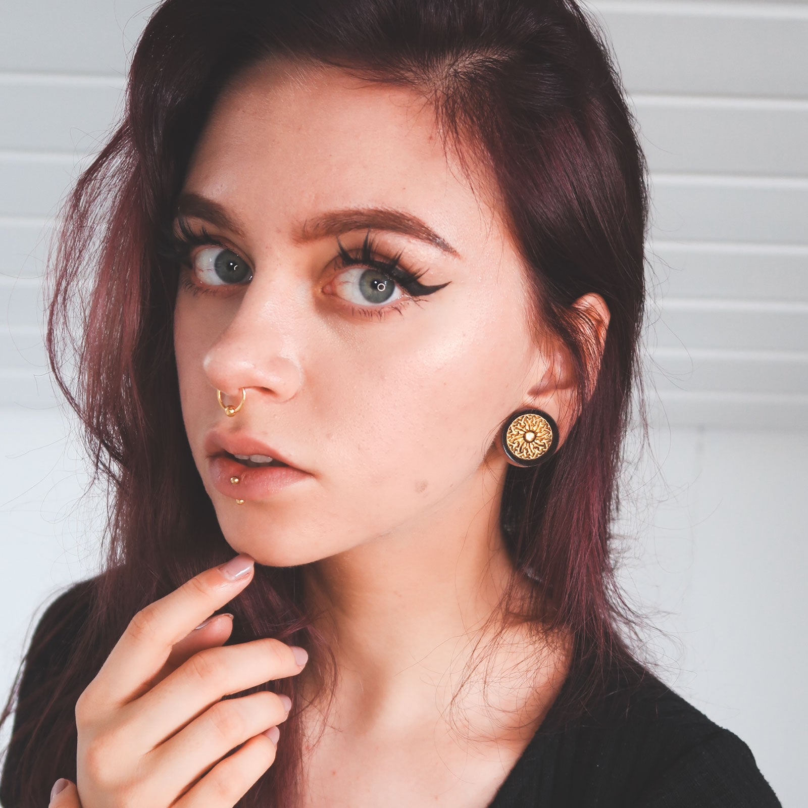 Areng Wood Double Flare Plug With Brass Shield Inlay Model Shot