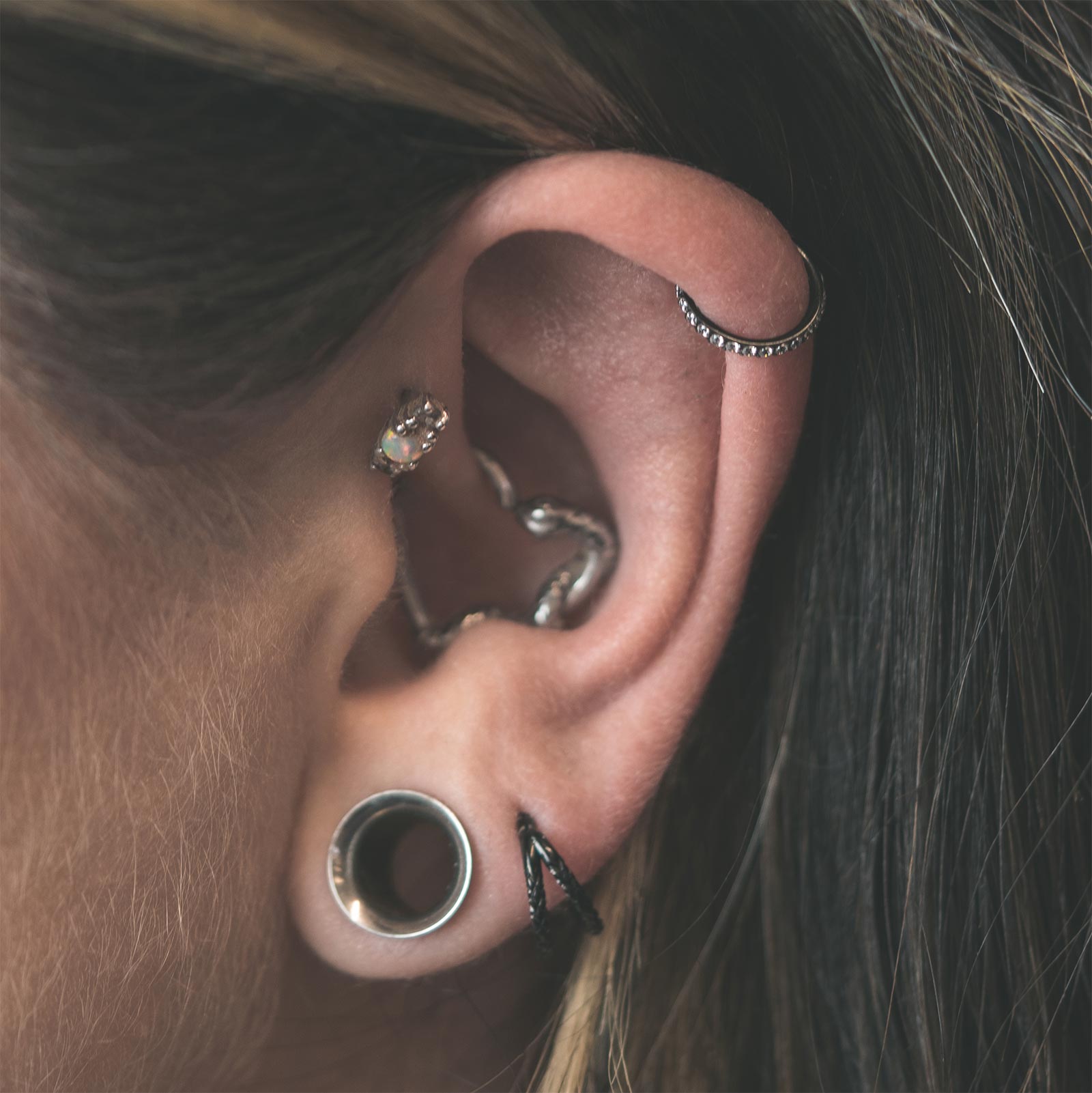 Bejewelled Black PVD Titanium Hinged Segment Ring Model Shot