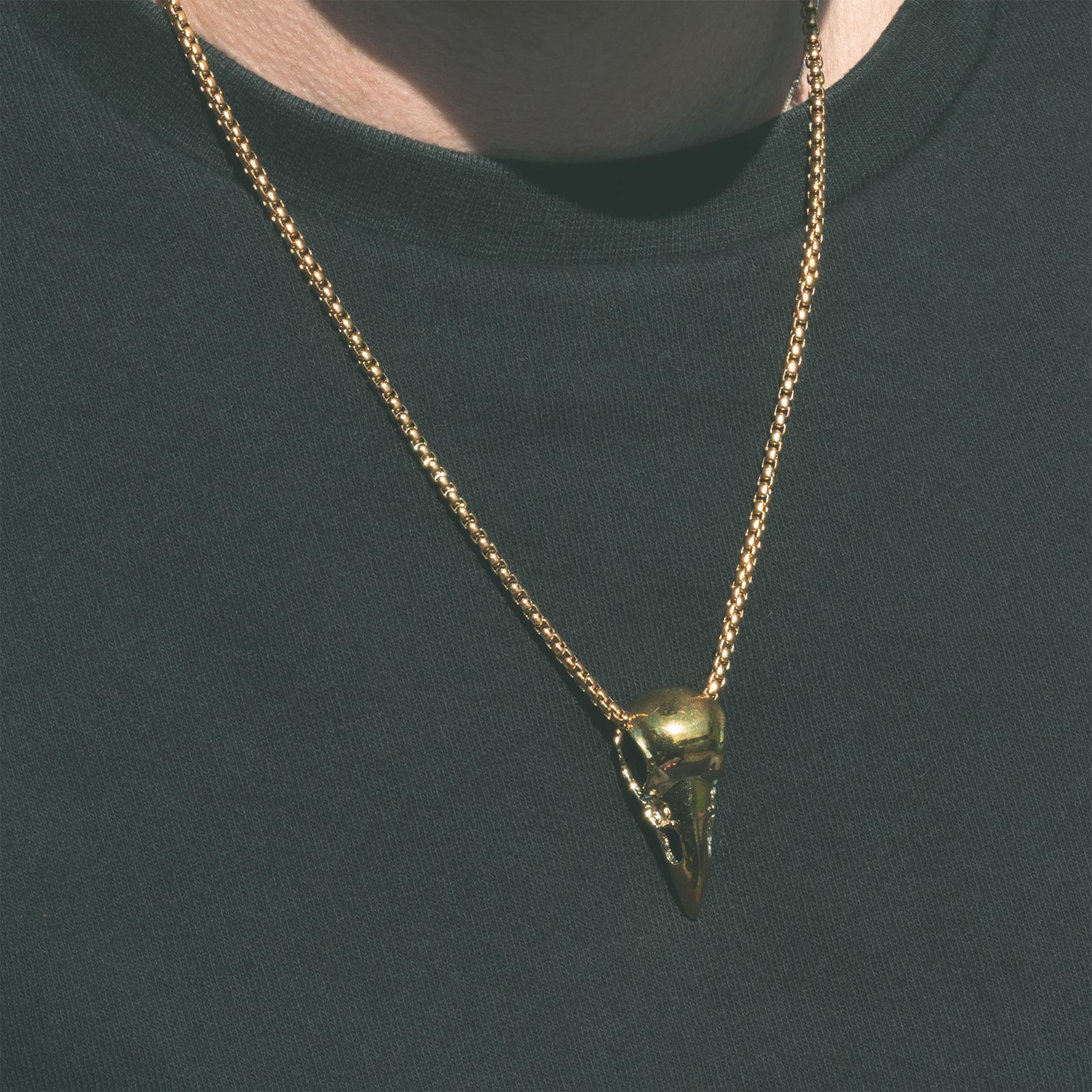 Bird Skull Brass Pendant With 18k Gold Box Chain Model Shot