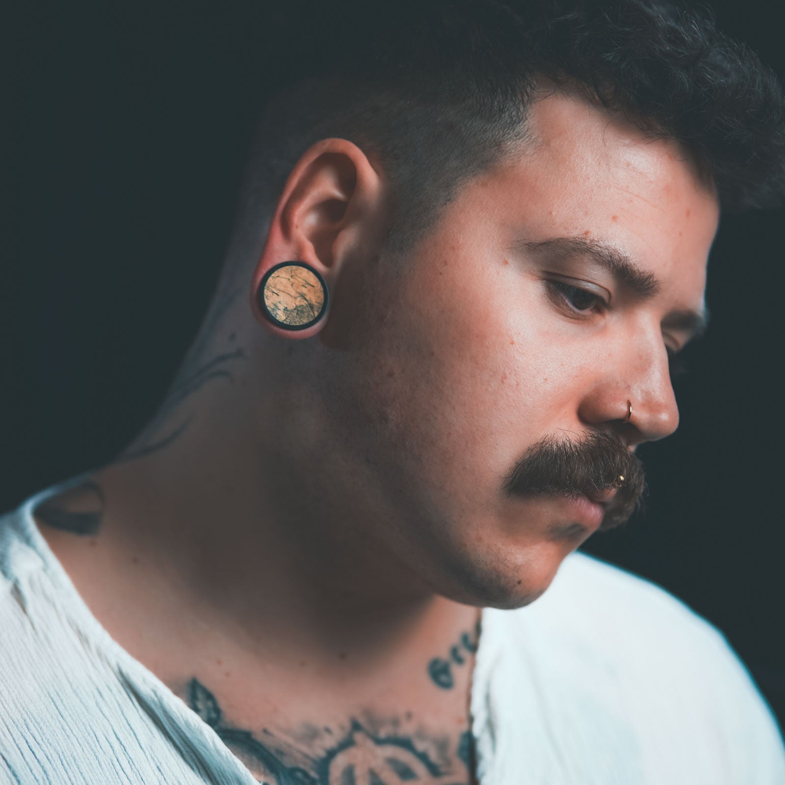 Black Areng Wood Double Flare Concave Plug With Tamarind Wood Inlay Model Shot