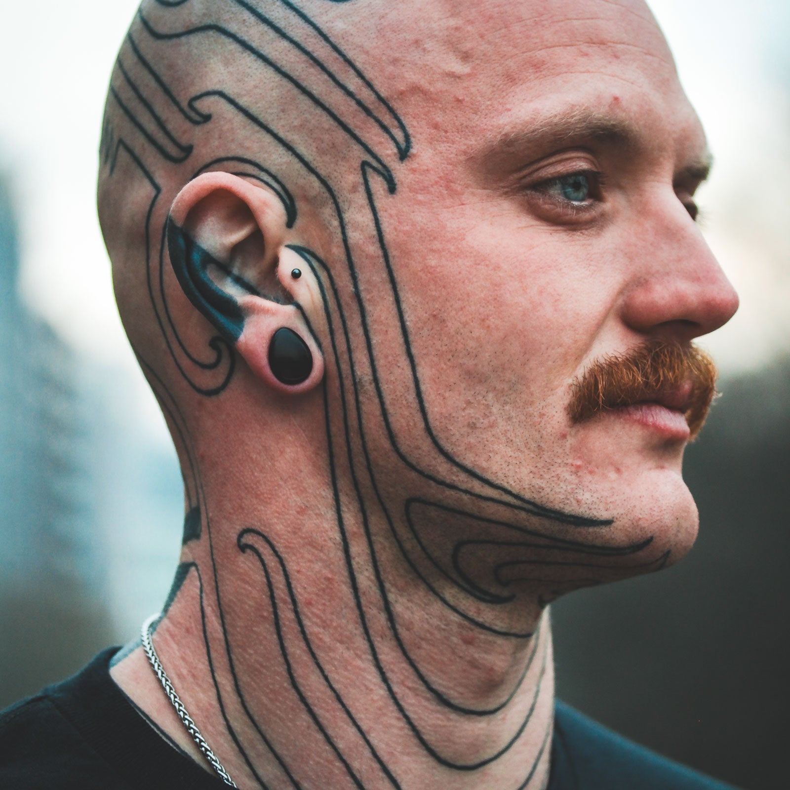 Black Glass Double Flare Teardrop Plug Model Shot