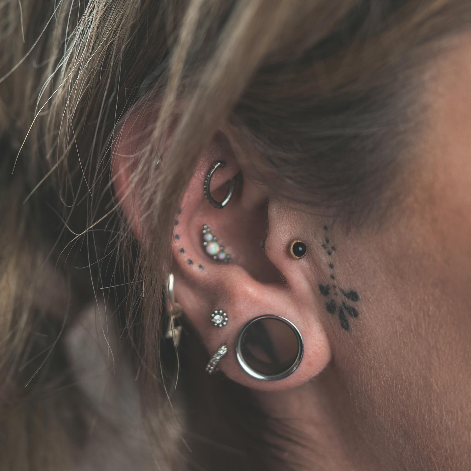 Black Onyx & Olive Wood Ball Threadless Top Model Shot