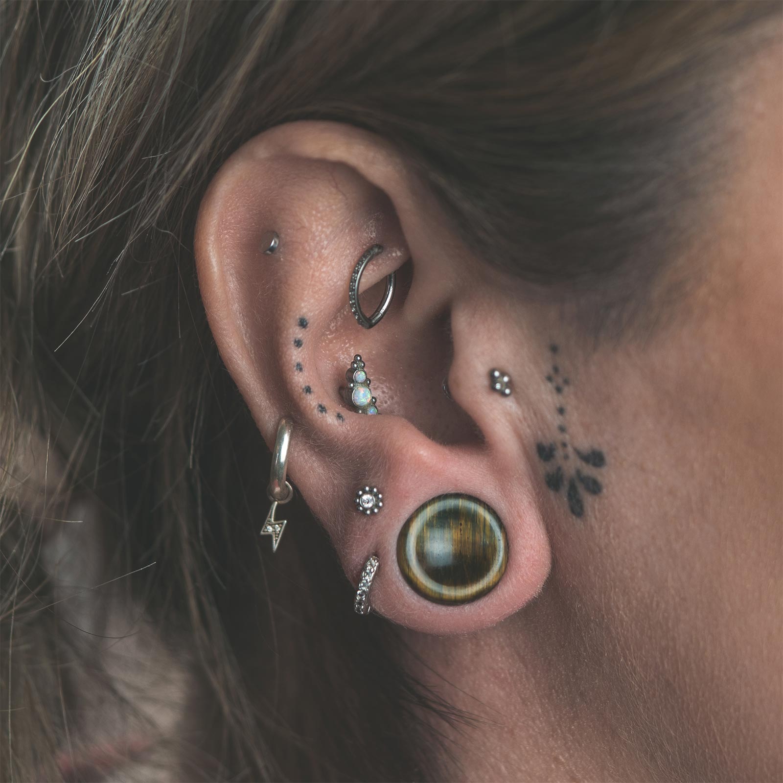 Blue Tiger's Eye Double Flare Concave Plug Model Shot