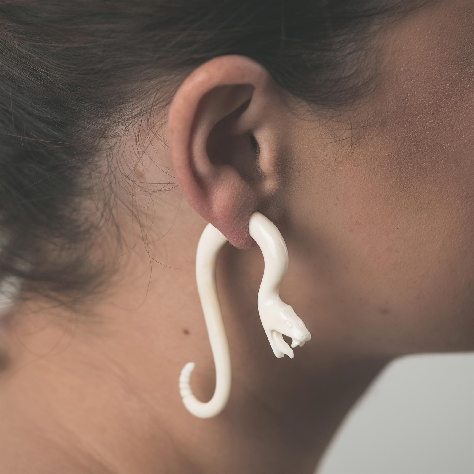 Bone Fake Gauge Rattlesnake Spiral Model Shot