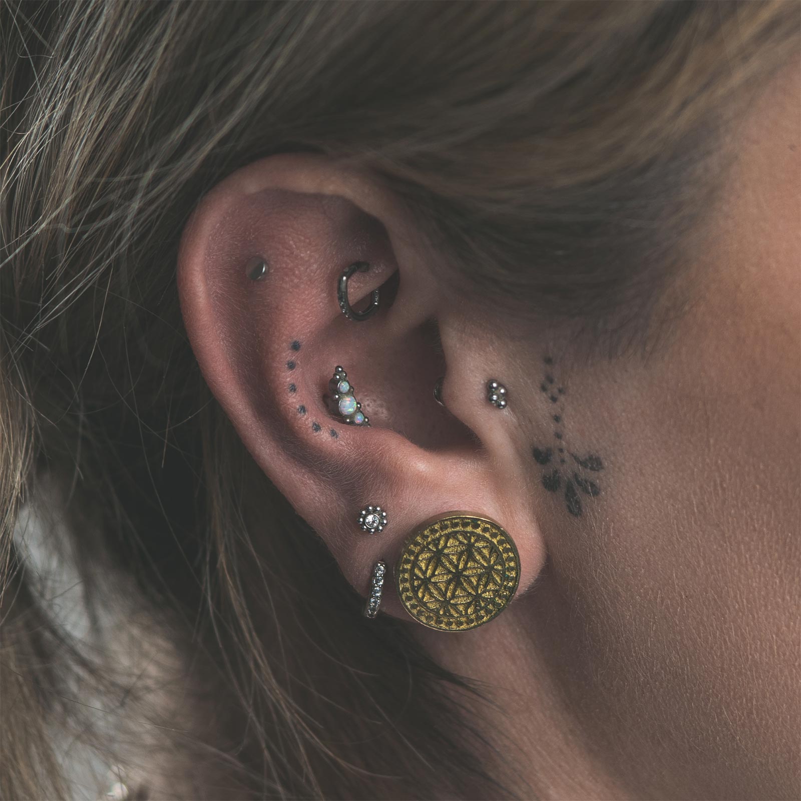 Brass Flower Of Life Double Flare Plug (Hollow Backed) Model Shot