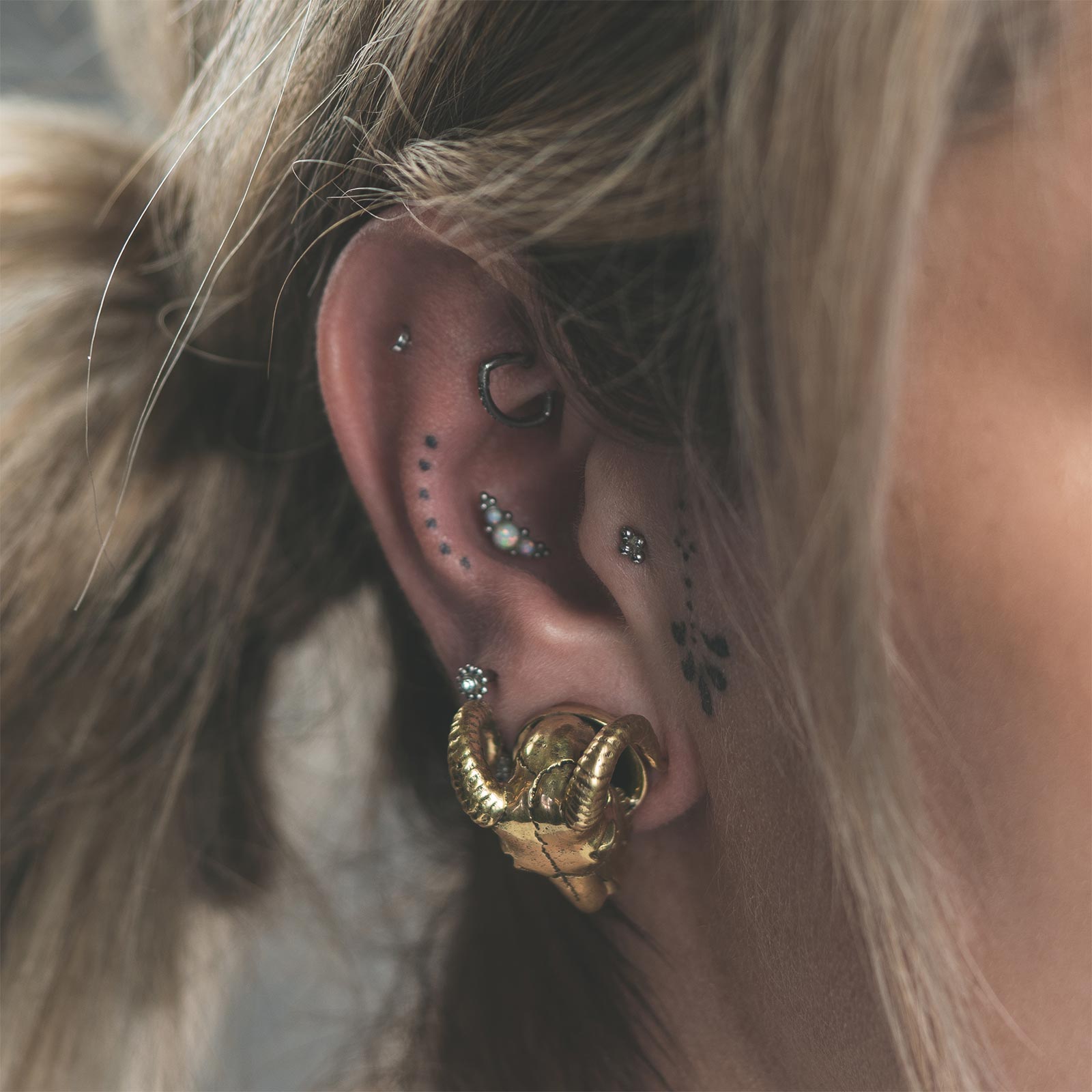 Brass Ram Skull Double Flare Plug Model Shot