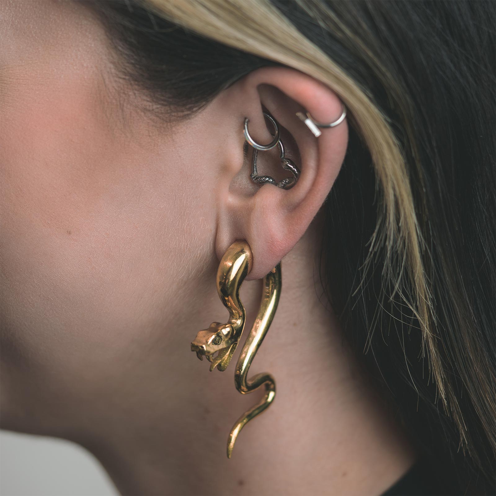 Brass Snake Spiral Model Shot