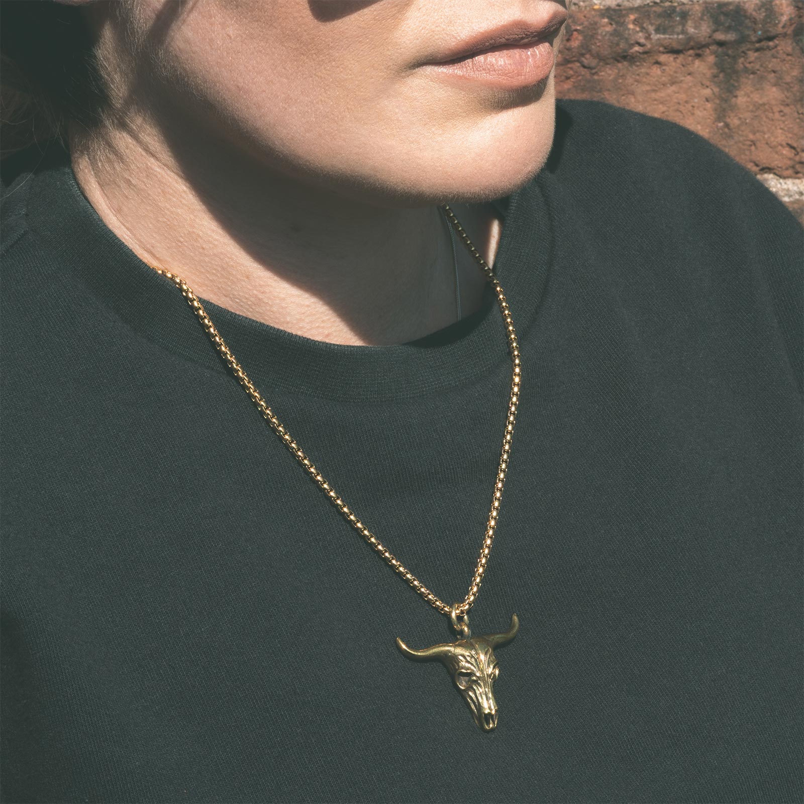 Bull Skull Brass Pendant With 18k Gold Box Chain Model Shot
