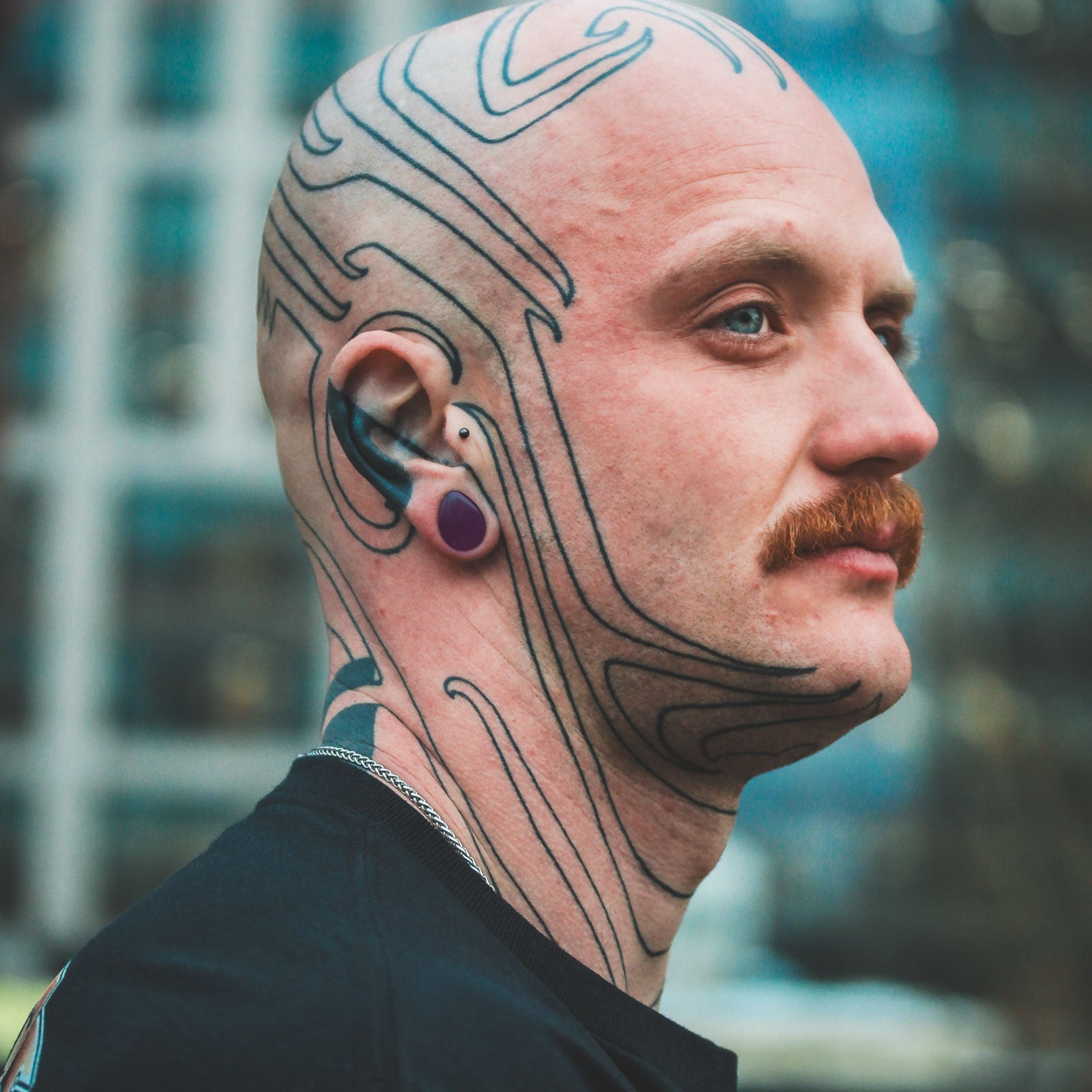 Burgundy Glass Double Flare Teardrop Plug Model Shot