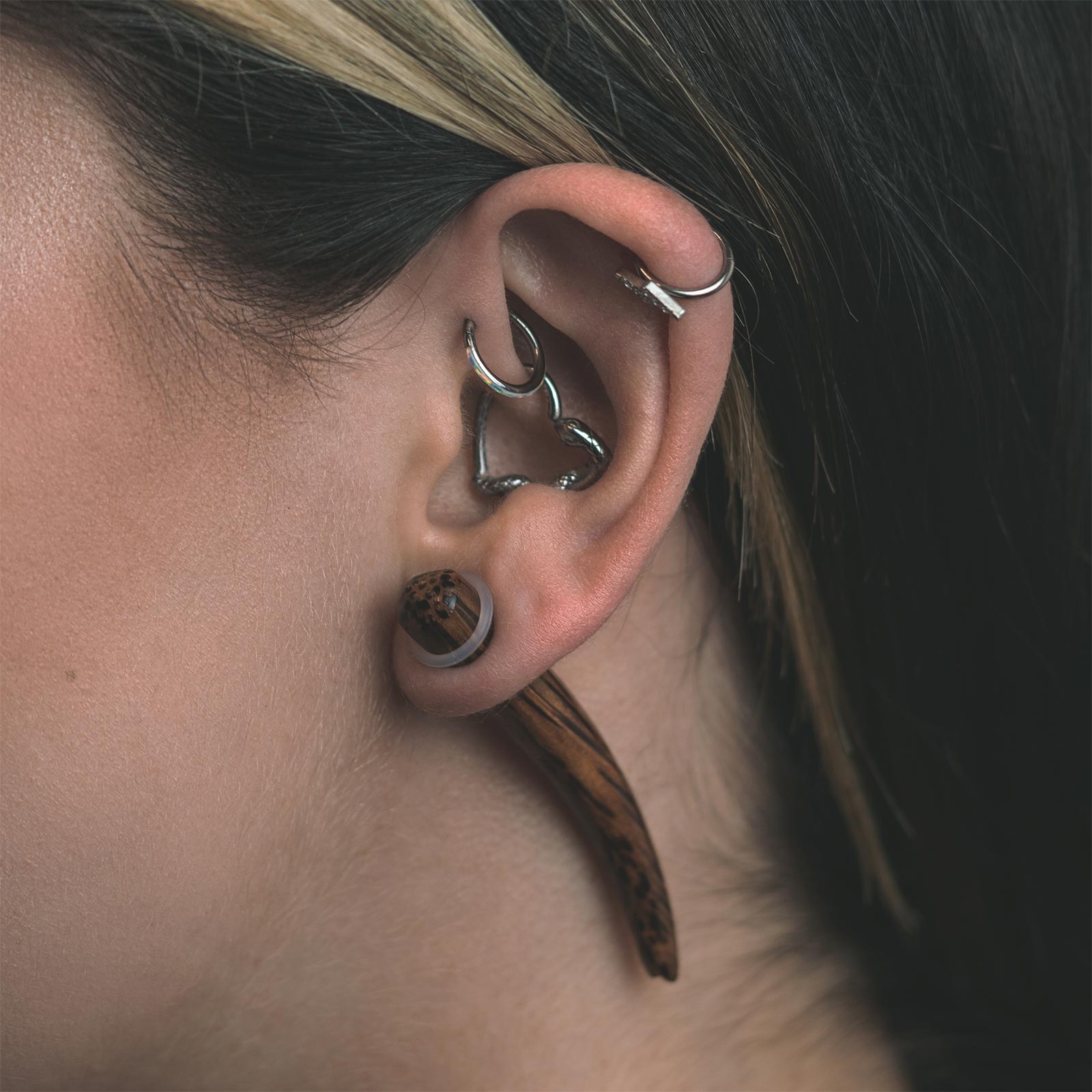 Coconut Wood Curved Taper Model Shot