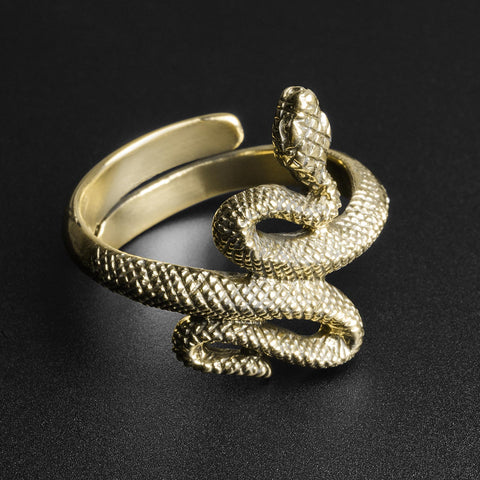 Coiled Snake Brass Ring