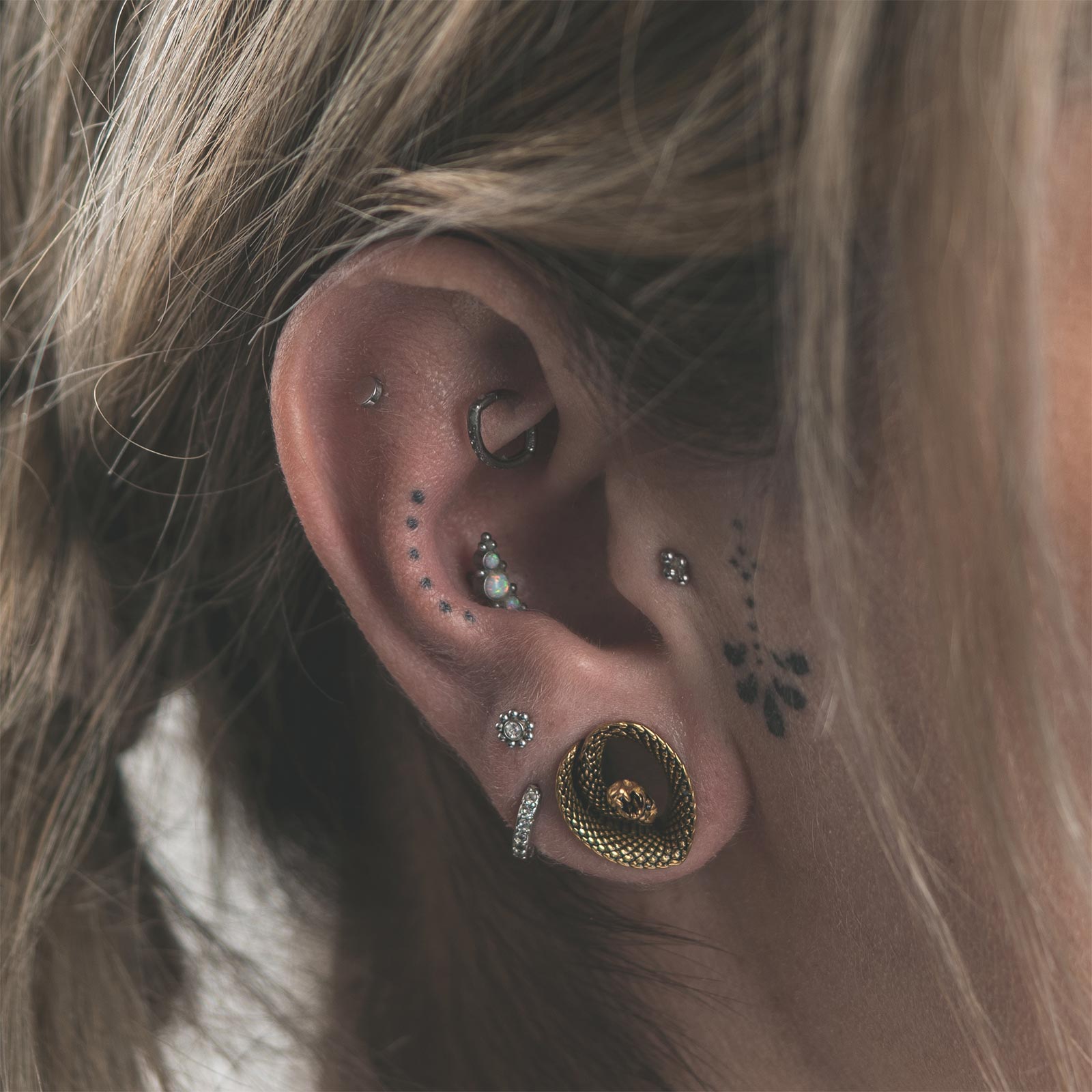 Coiled Snake Gold PVD Teardrop Saddle Ear Weight Model Shot