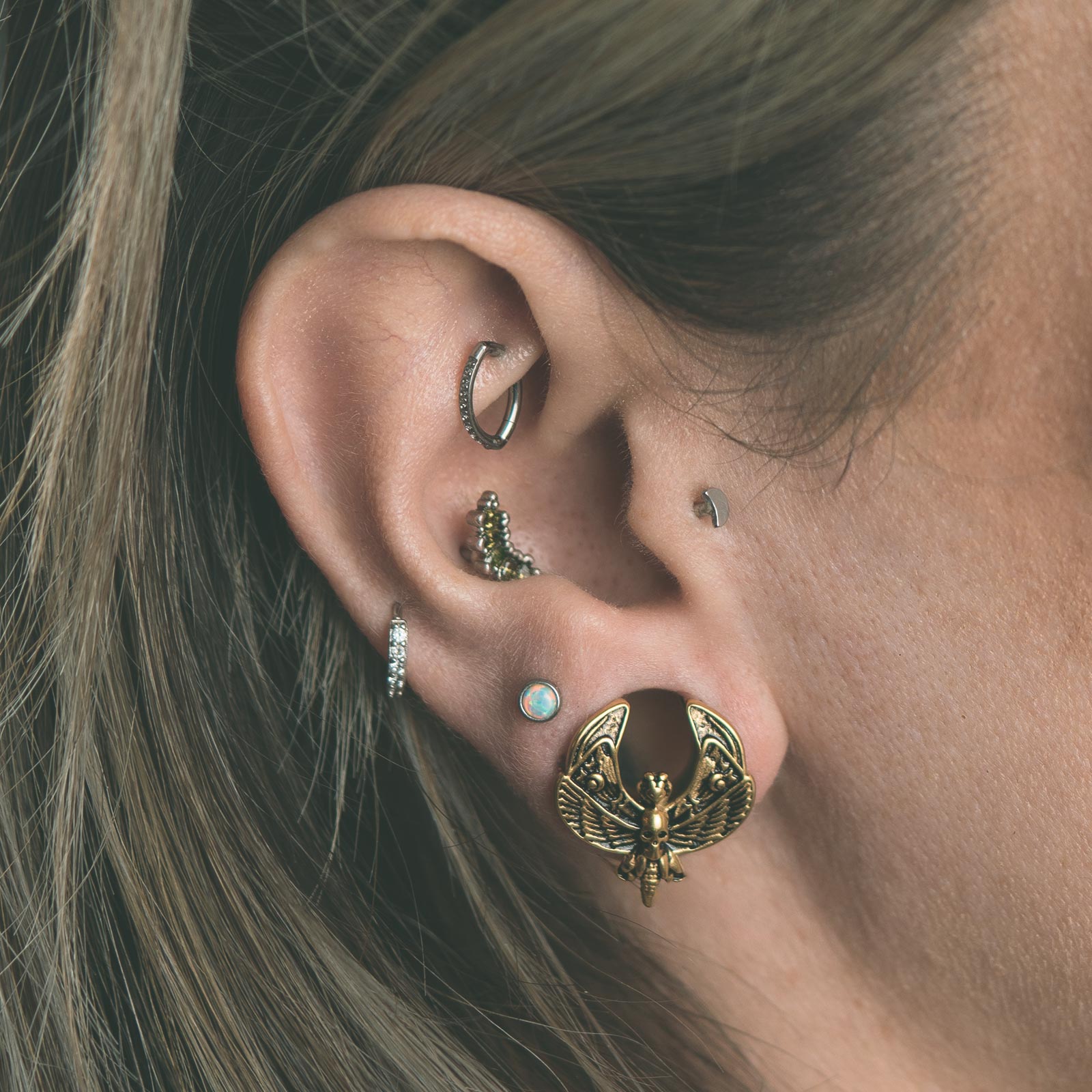 Death Moth Gold PVD Saddle Ear Weight Model Shot