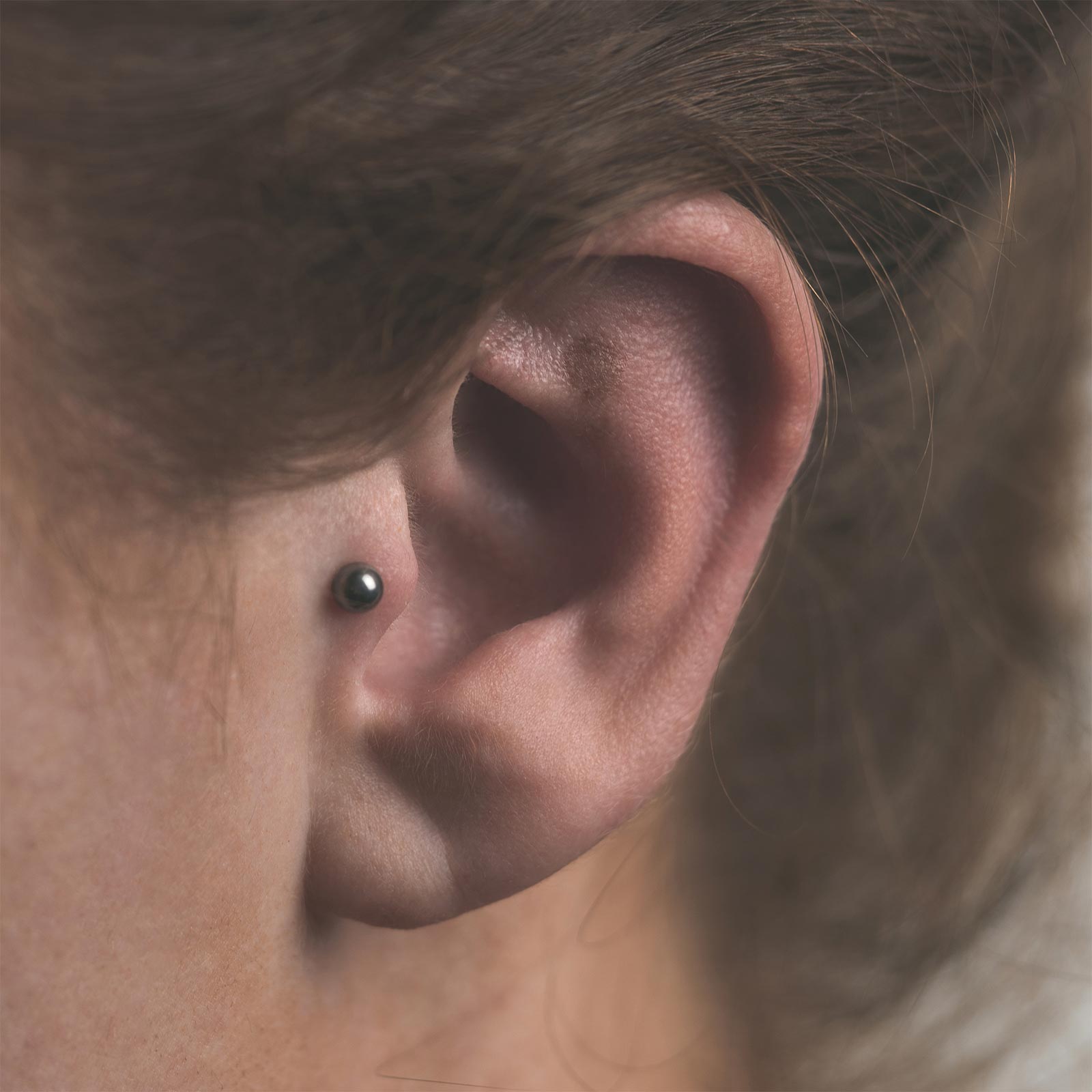 Domed Disc Titanium Threadless Top Model Shot