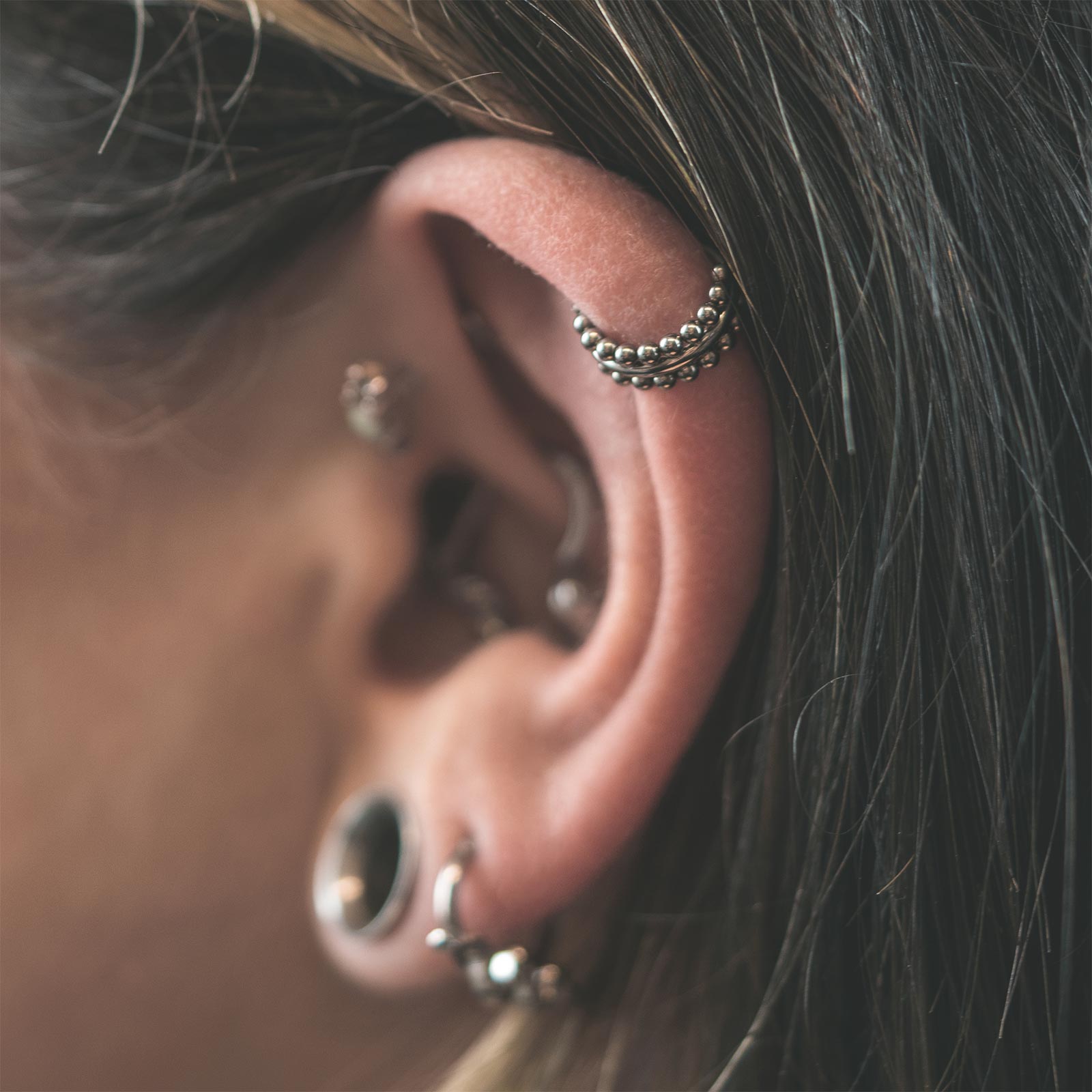 Double Beaded Titanium Hinged Segment Ring Model Shot Two