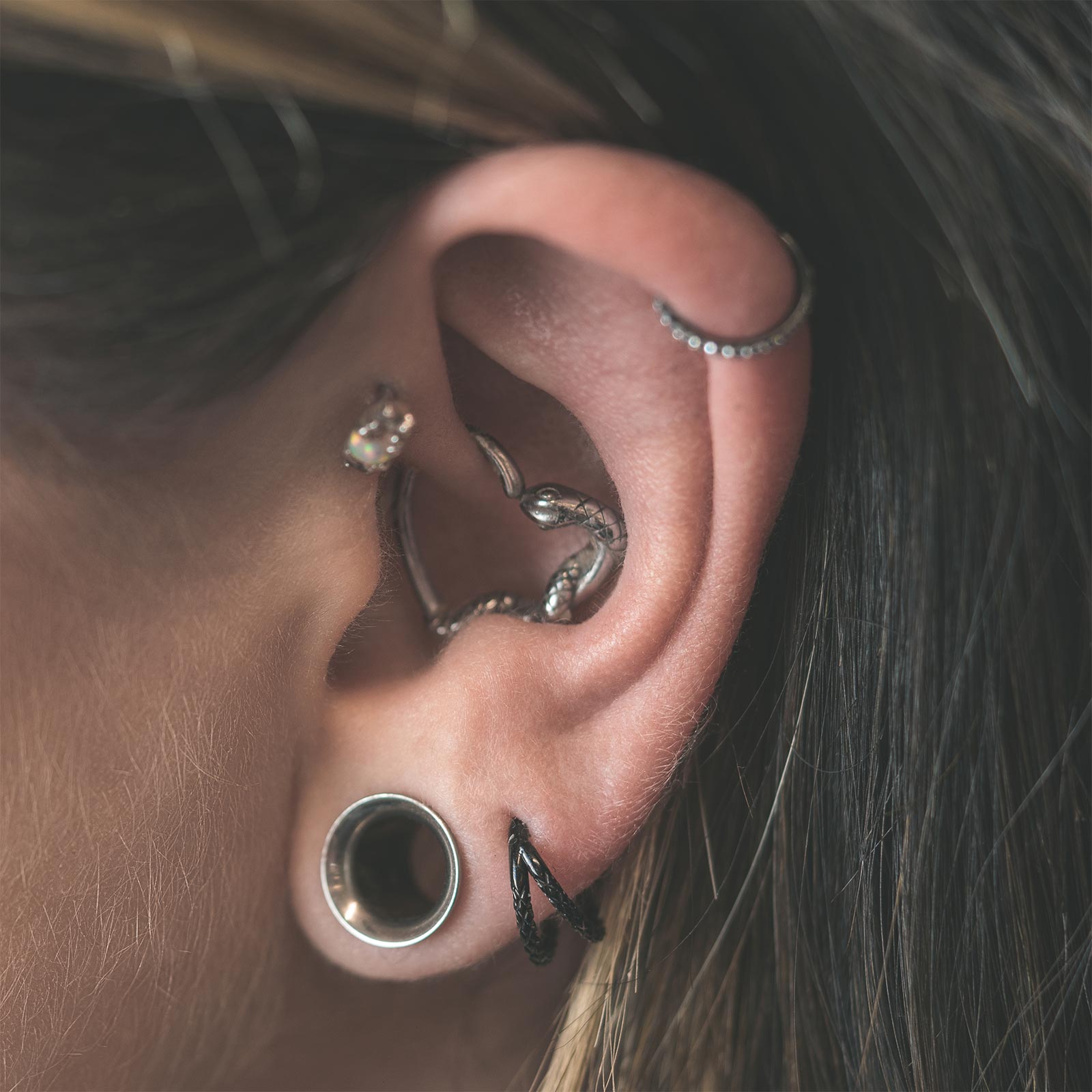 Double Snake Skin Black PVD Titanium Hinged Segment Ring Model Shot