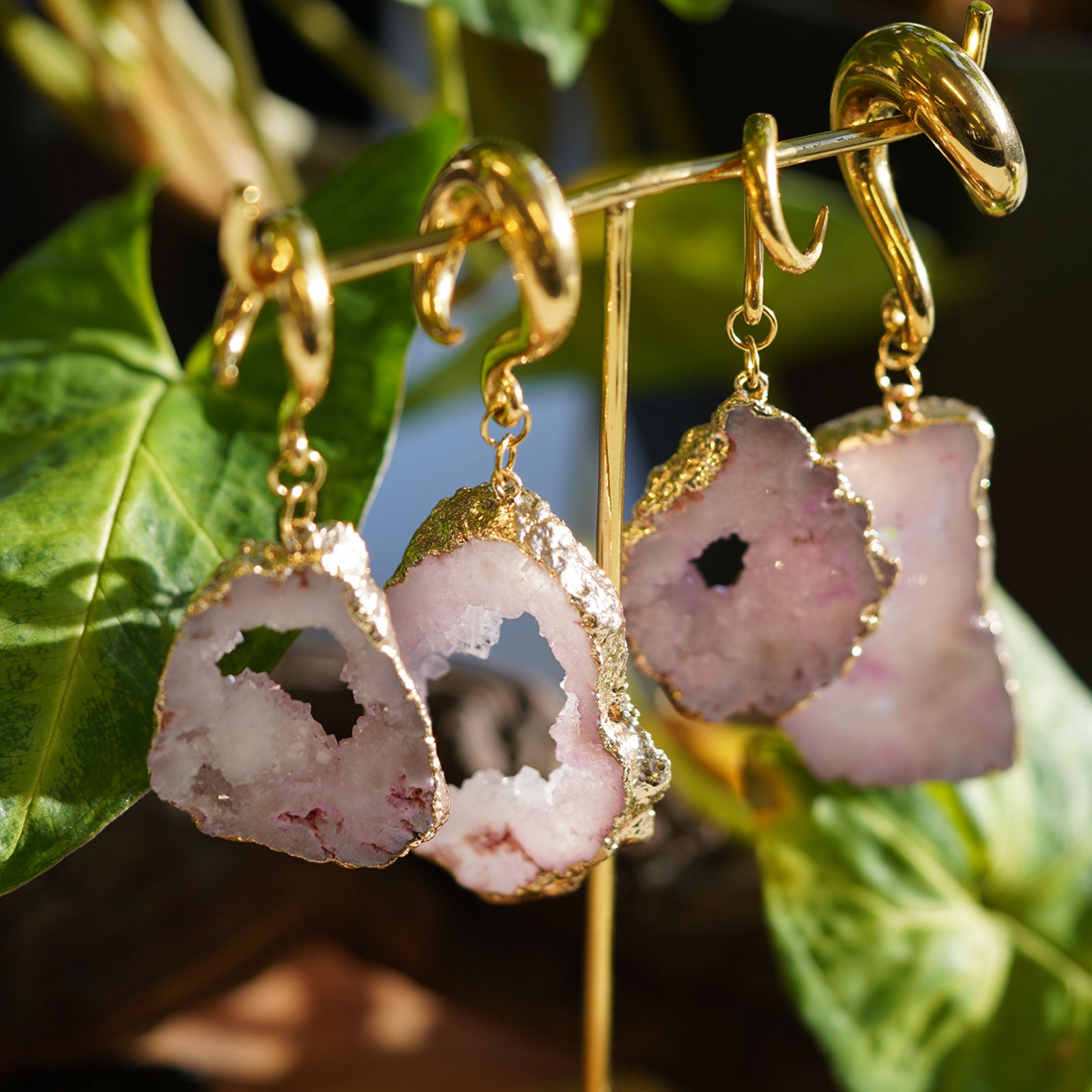 Druzy Pink Agate With Gold PVD Hook Ear Weight Group Shot