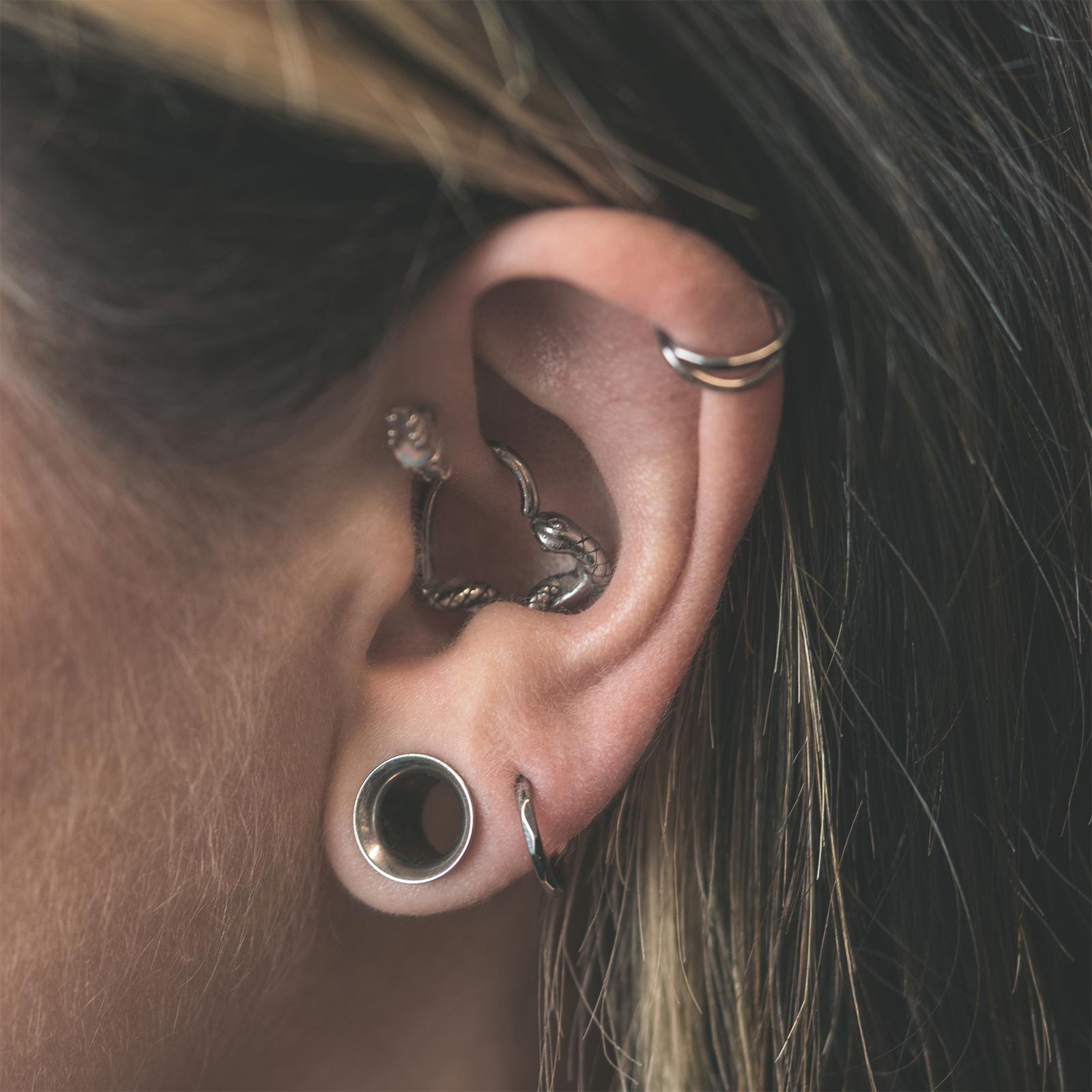 Faceted Titanium Hinged Segment Ring Model Shot