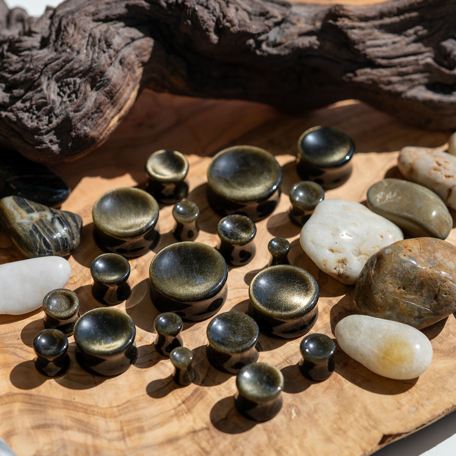Golden Obsidian Double Flare Concave Stone Plug Group Shot