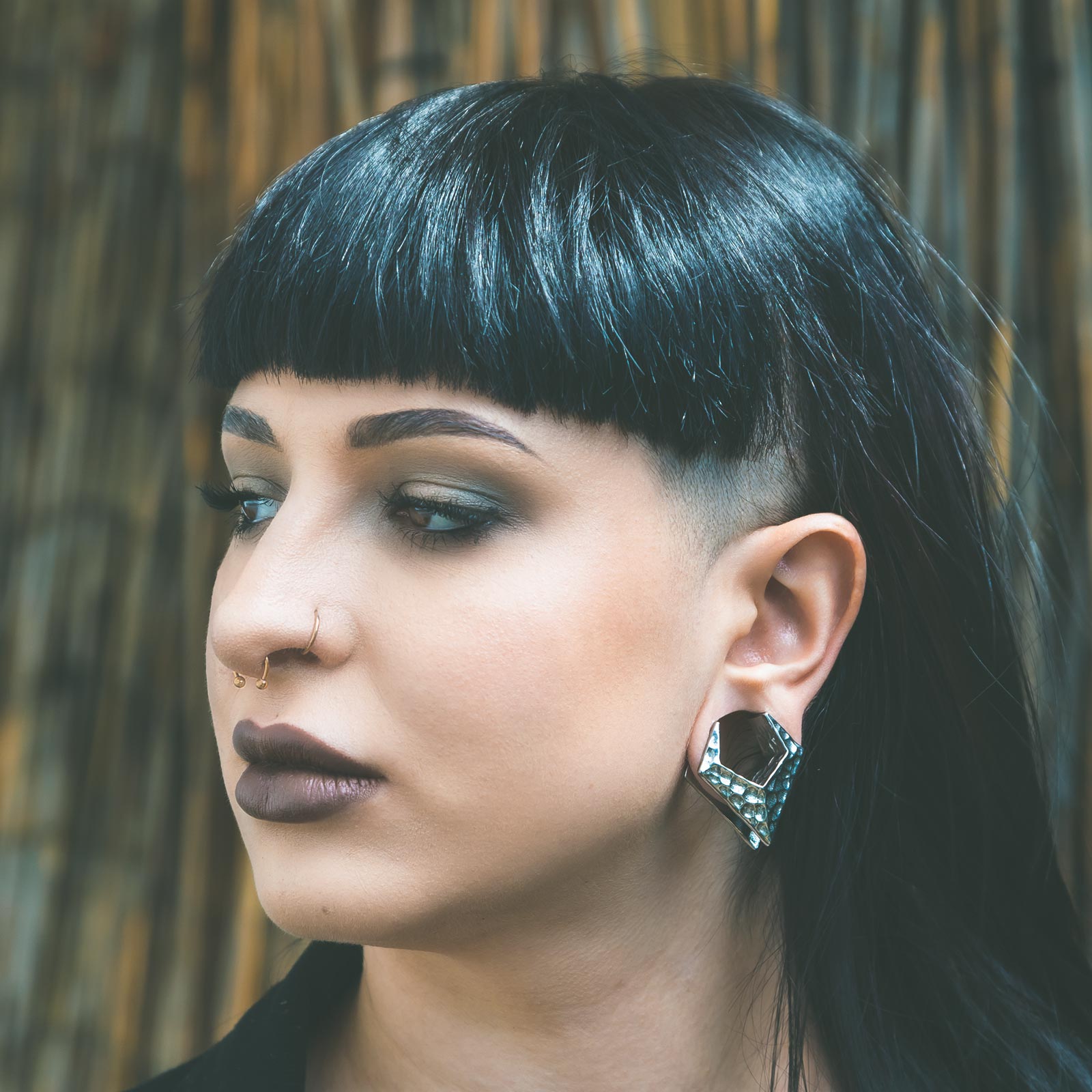 Hammered Pointed Hanger Surgical Steel Saddle Ear Weight Model Shot