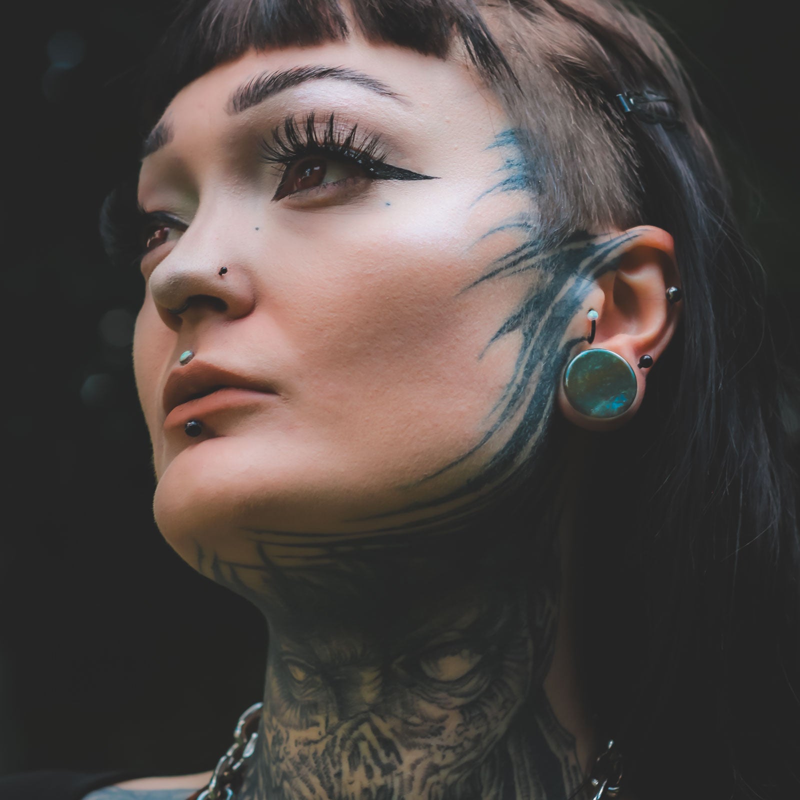 Moss Agate Double Flare Stone Plug Model Shot