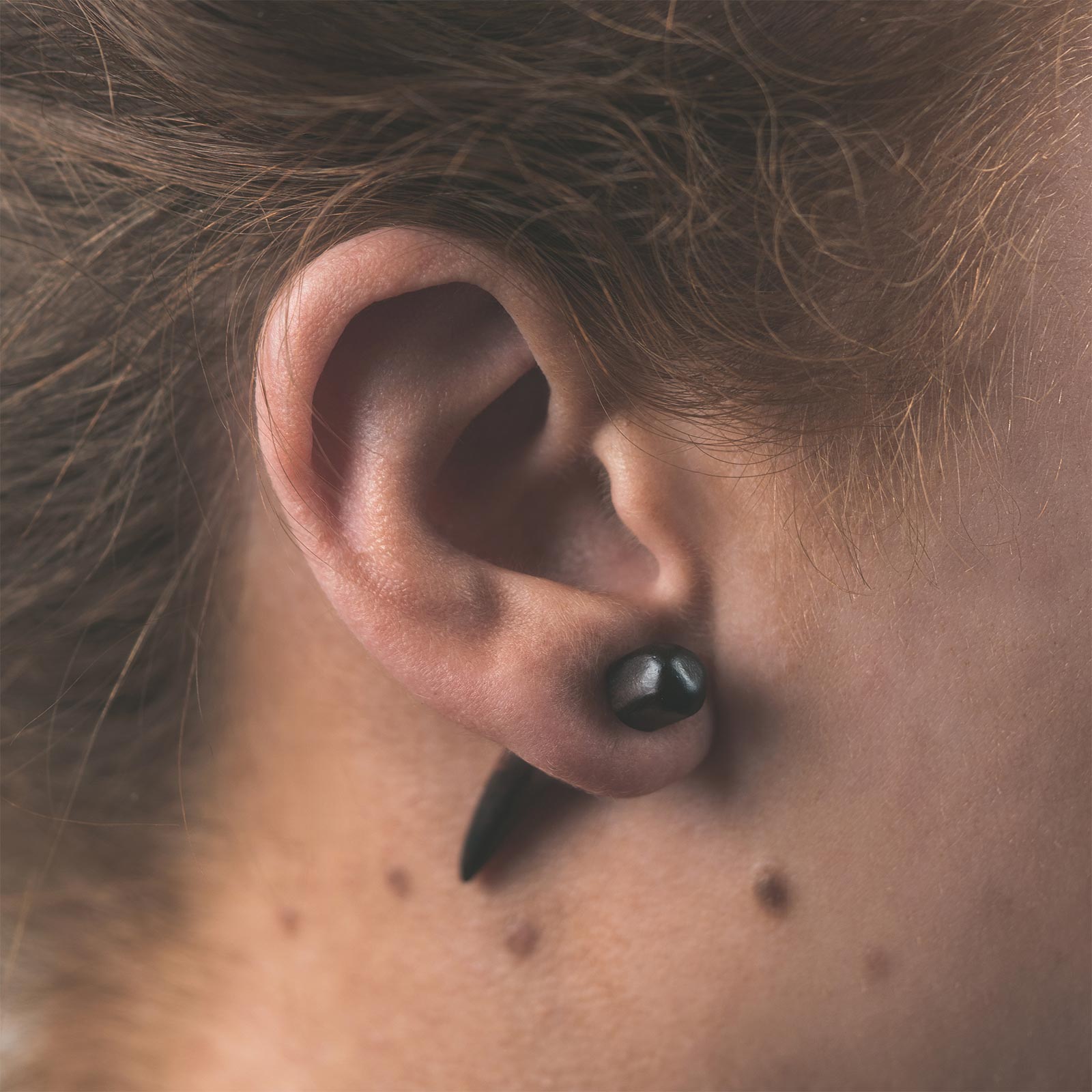 Narra Wood Fake Gauge Curved Taper Model Shot