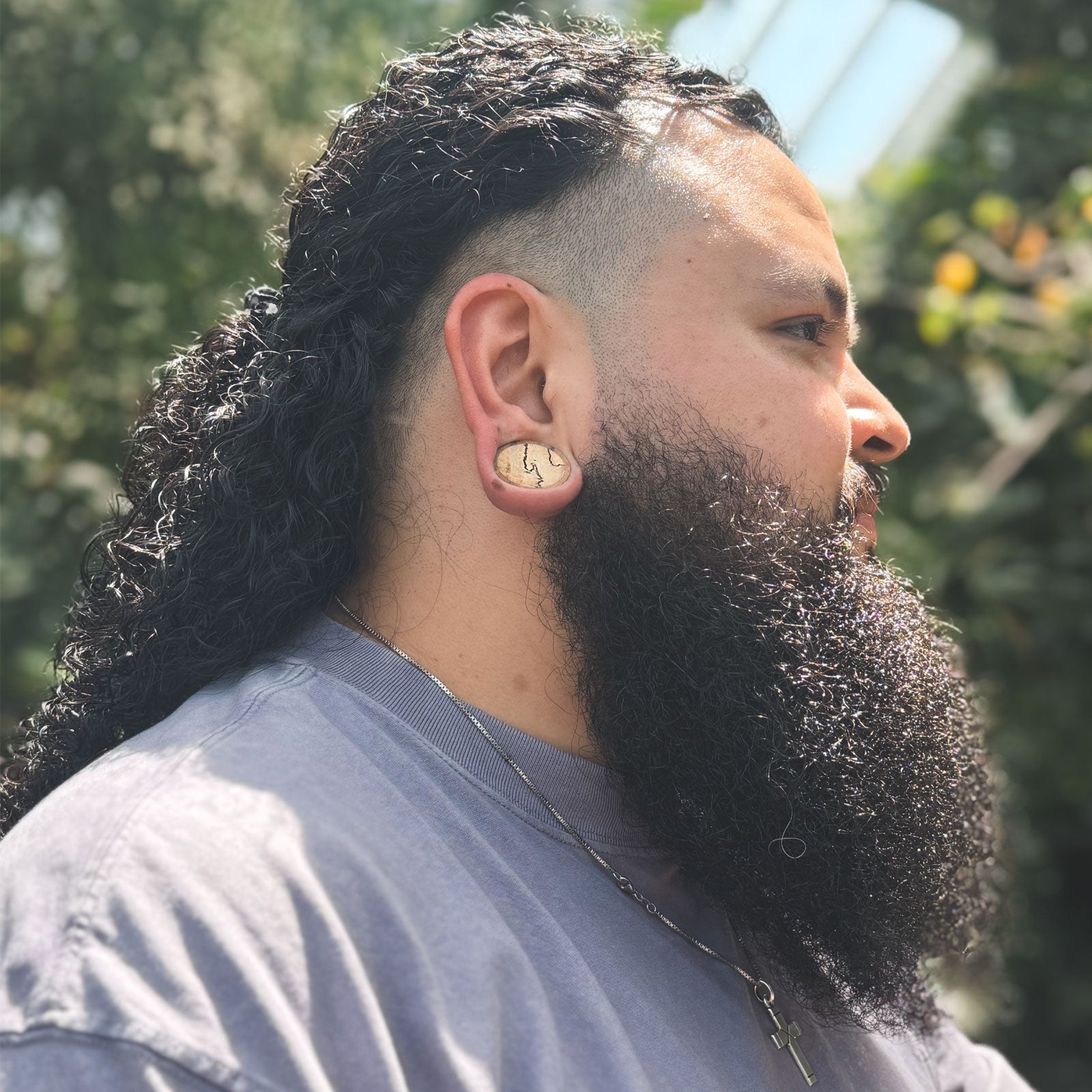 Olive Wood Double Flare Concave Plug With Tamarind Wood Inlay Model Shot