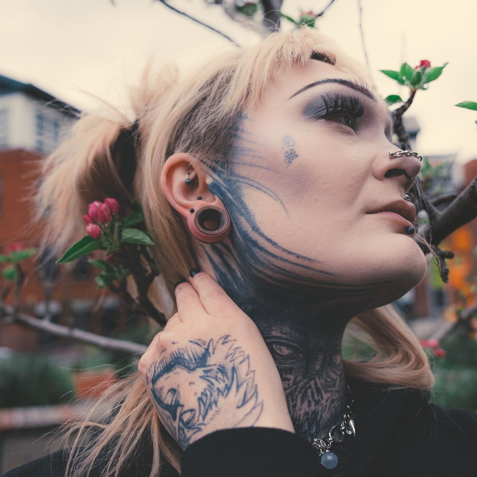 Olive Wood Double Flare Concave Tunnel With Sono Wood Inlay Model Shot