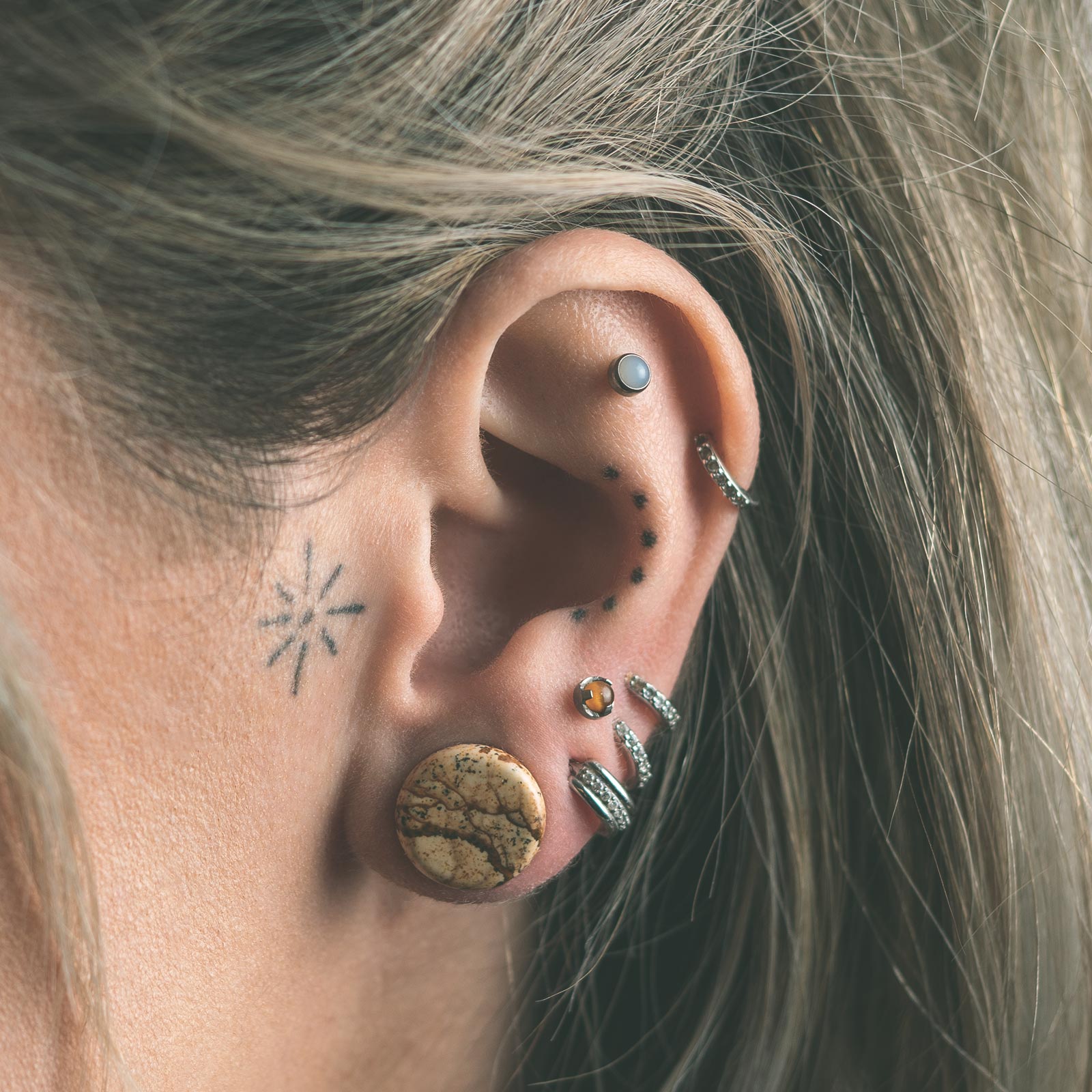 Picture Jasper Double Flare Plug Model Shot