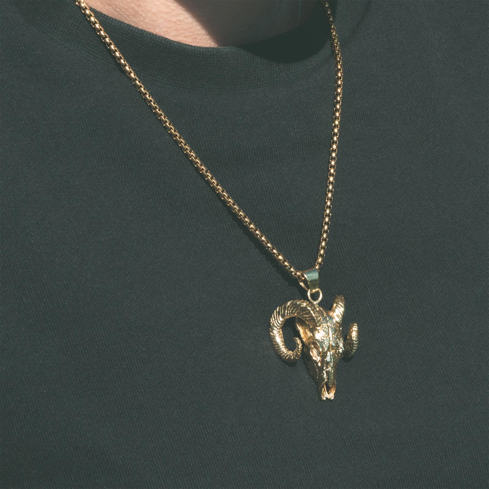 Ram Skull Brass Pendant With 18k Gold Box Chain Model Shot