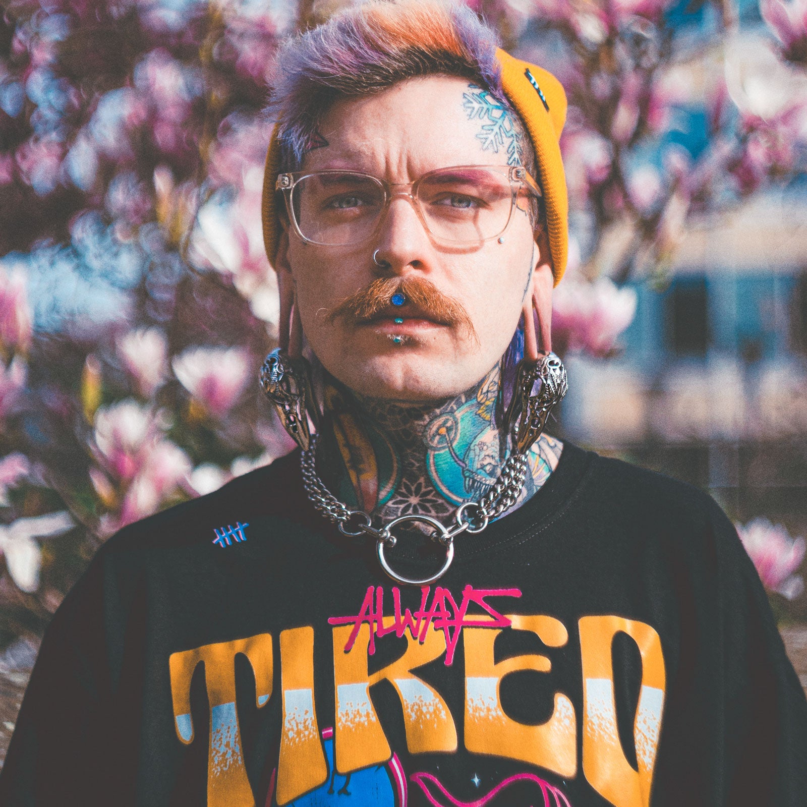 Regal Bird Skull Surgical Steel Ear Weight Model Shot Straight On