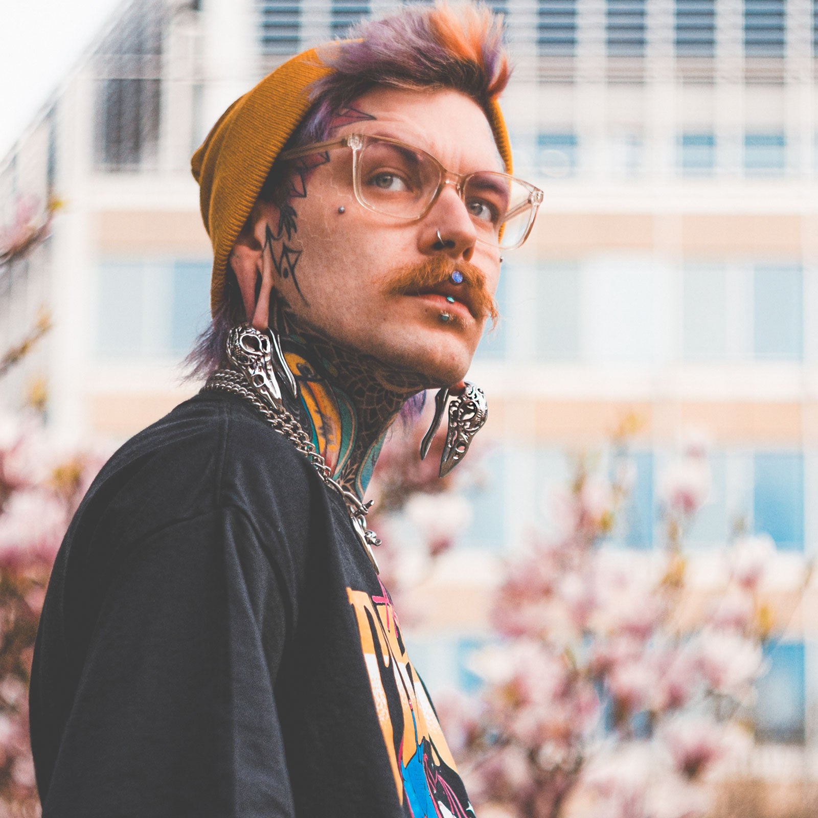 Regal Bird Skull Surgical Steel Ear Weight Model Shot