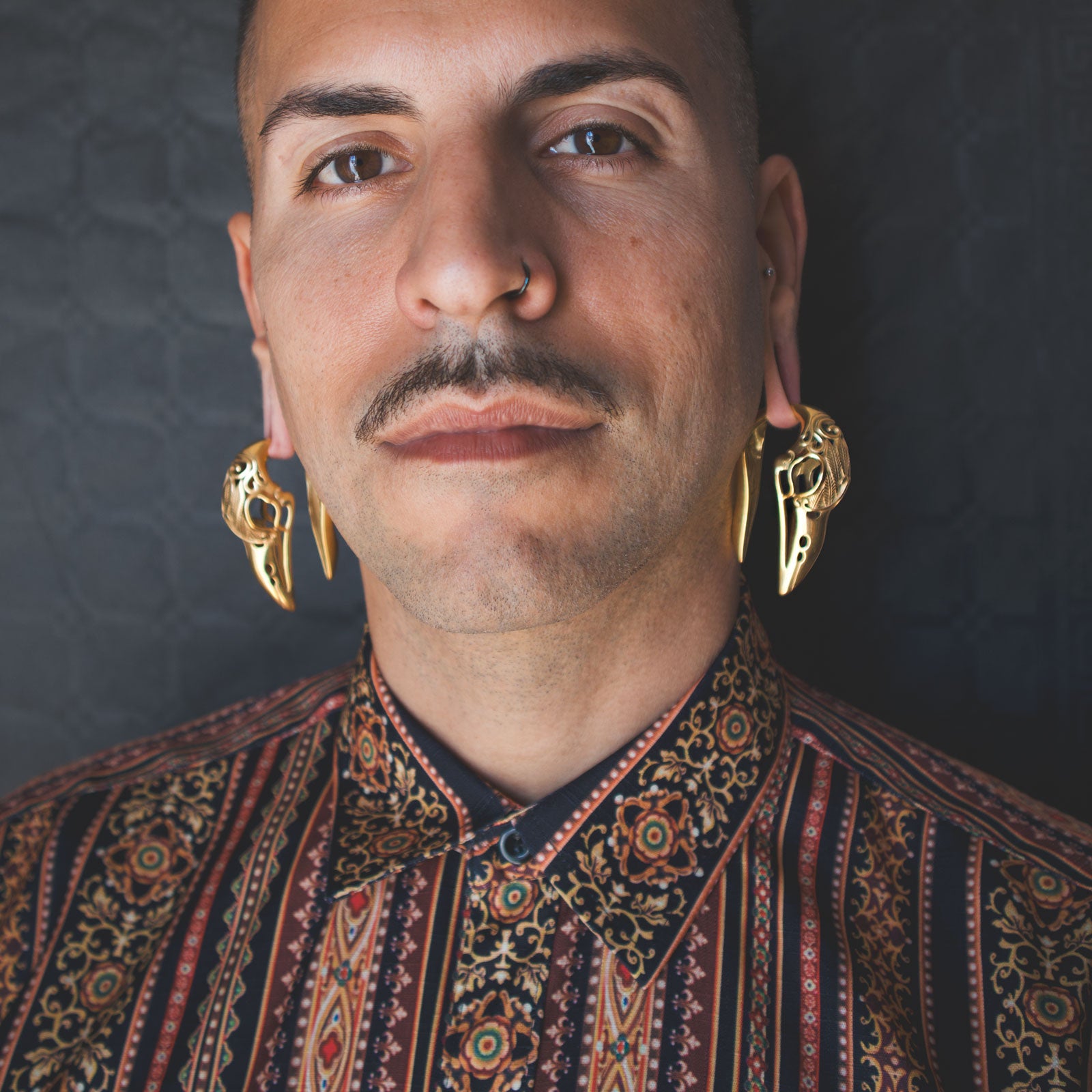 Regal Gold PVD Bird Skull Ear Weight Model Shot