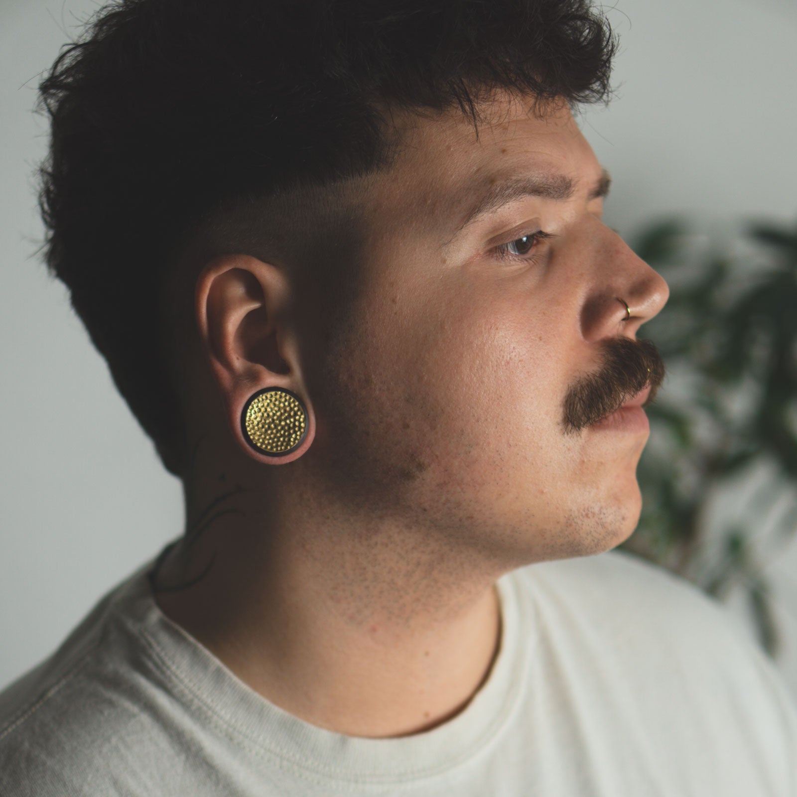 Saba Wood Double Flare Plug With Hammered Brass Concave Disc Inlay Model Shot