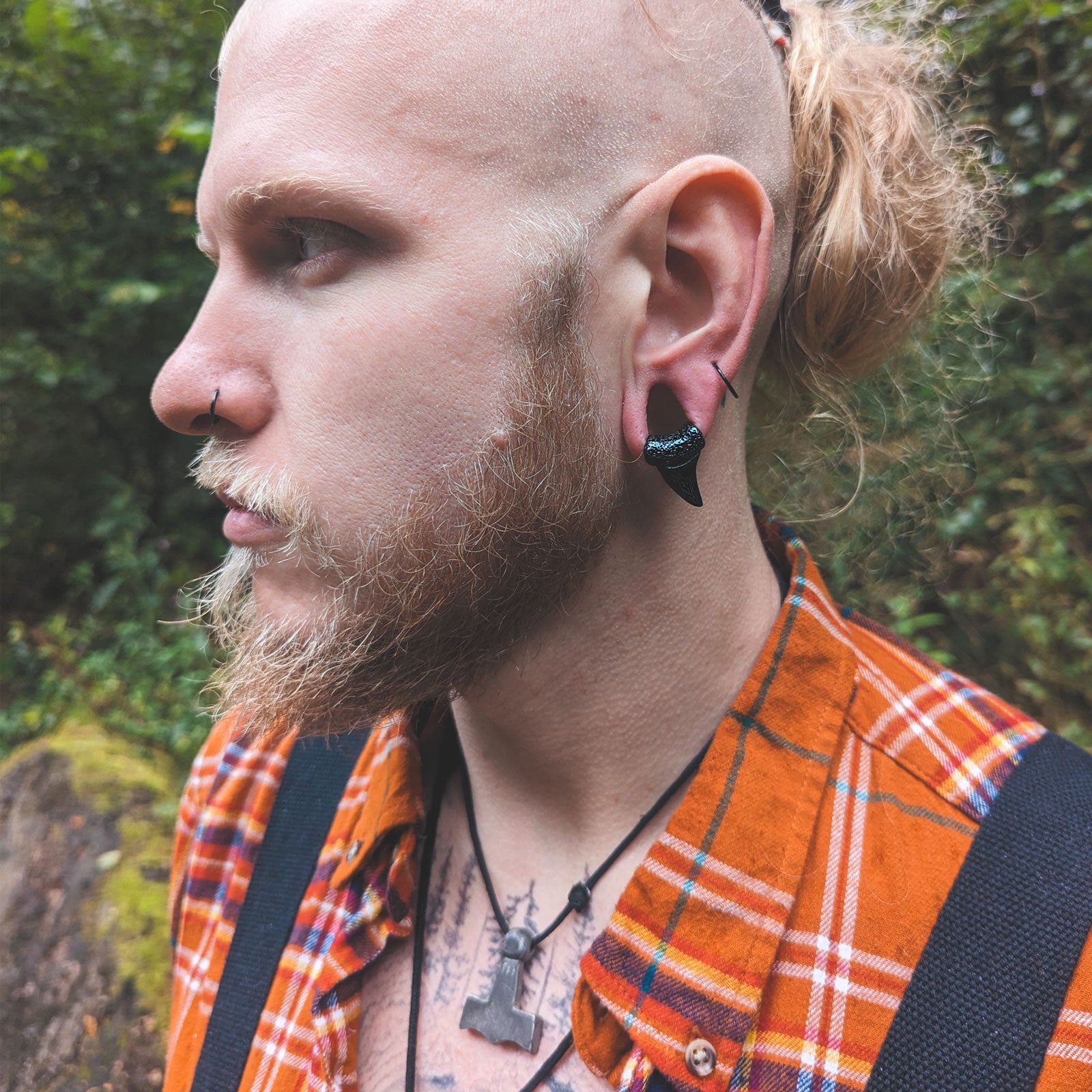 Shark Tooth Black PVD Ear Weight Model Shot