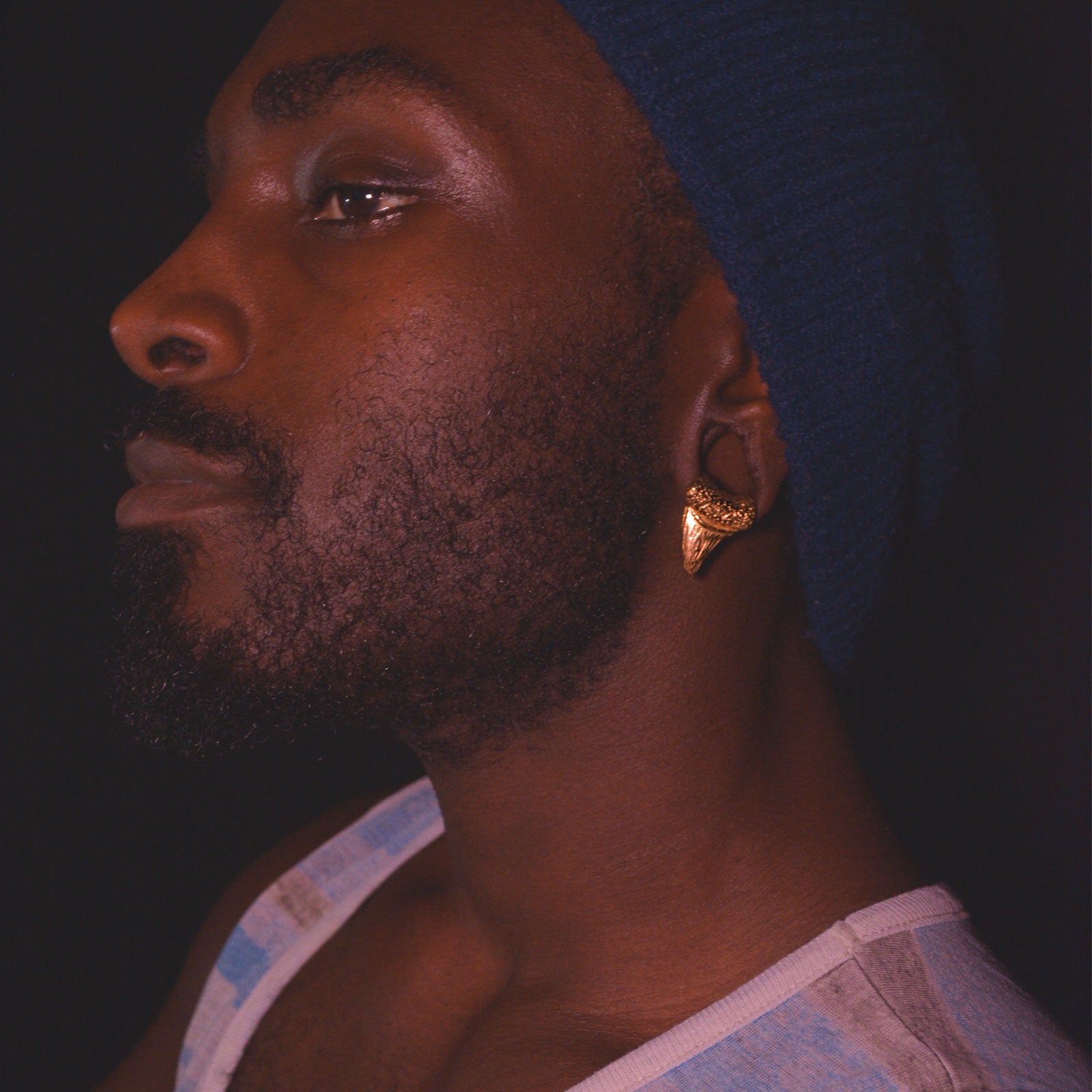 Shark Tooth Gold PVD Ear Weight Model Shot