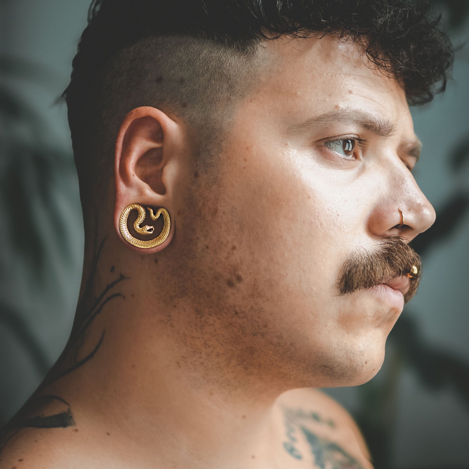 Snake Gold PVD Saddle Plug Ear Weight Model Shot Close Up