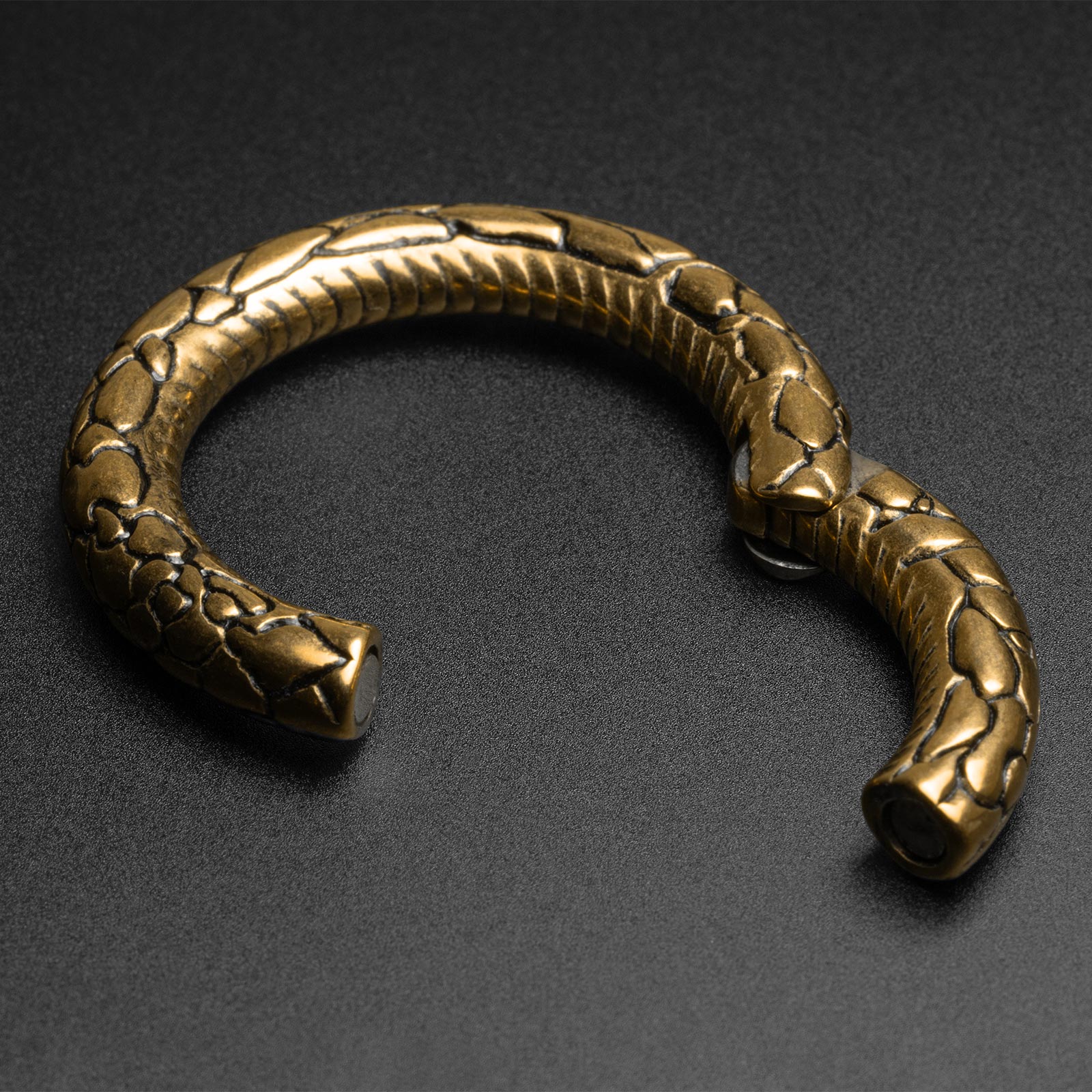 Snake Skin Gold PVD Magnetic Ear Weight Open