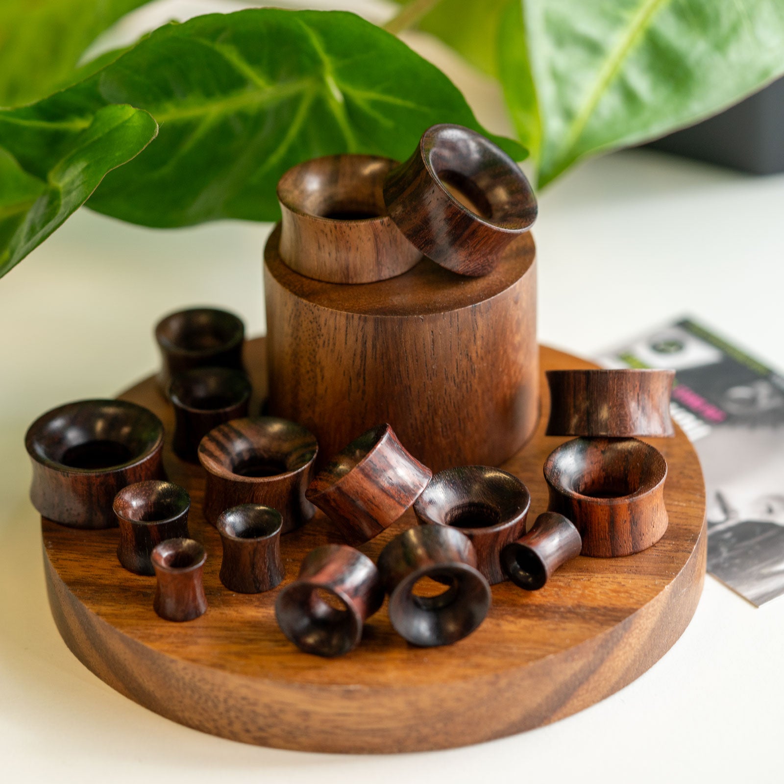 Sono Wood Double Flare Concave Tunnel Group Shot