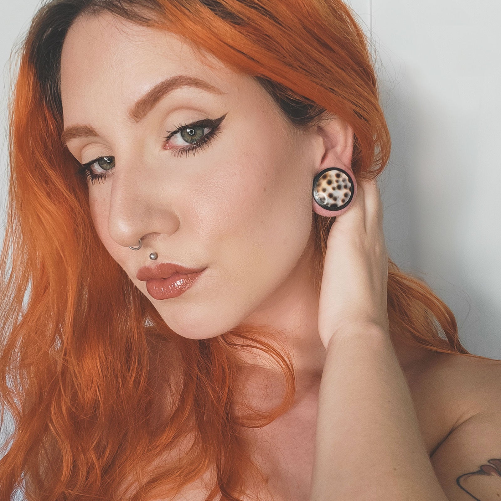 Sono Wood Double Flare Convex Plug With Tiger Cowrie Shell Inlay Model Shot