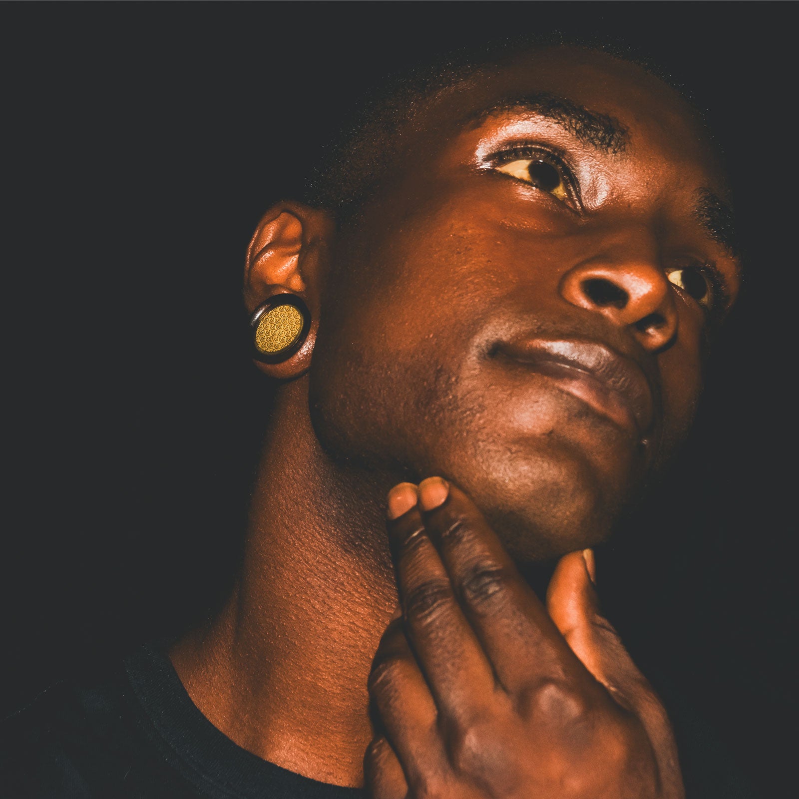 Sono Wood Double Flare Plug With Brass Japanese Wave Inlay Model Shot