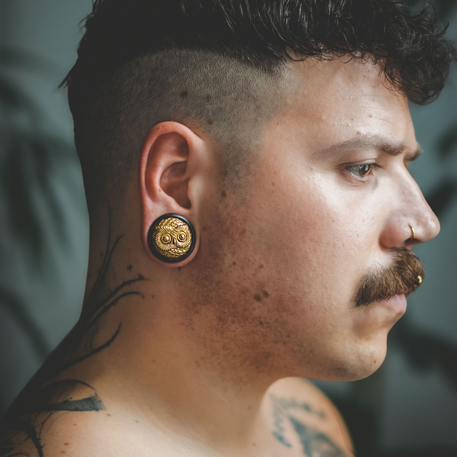 Sono Wood Double Flare Plug With Brass Owl Inlay Model Shot